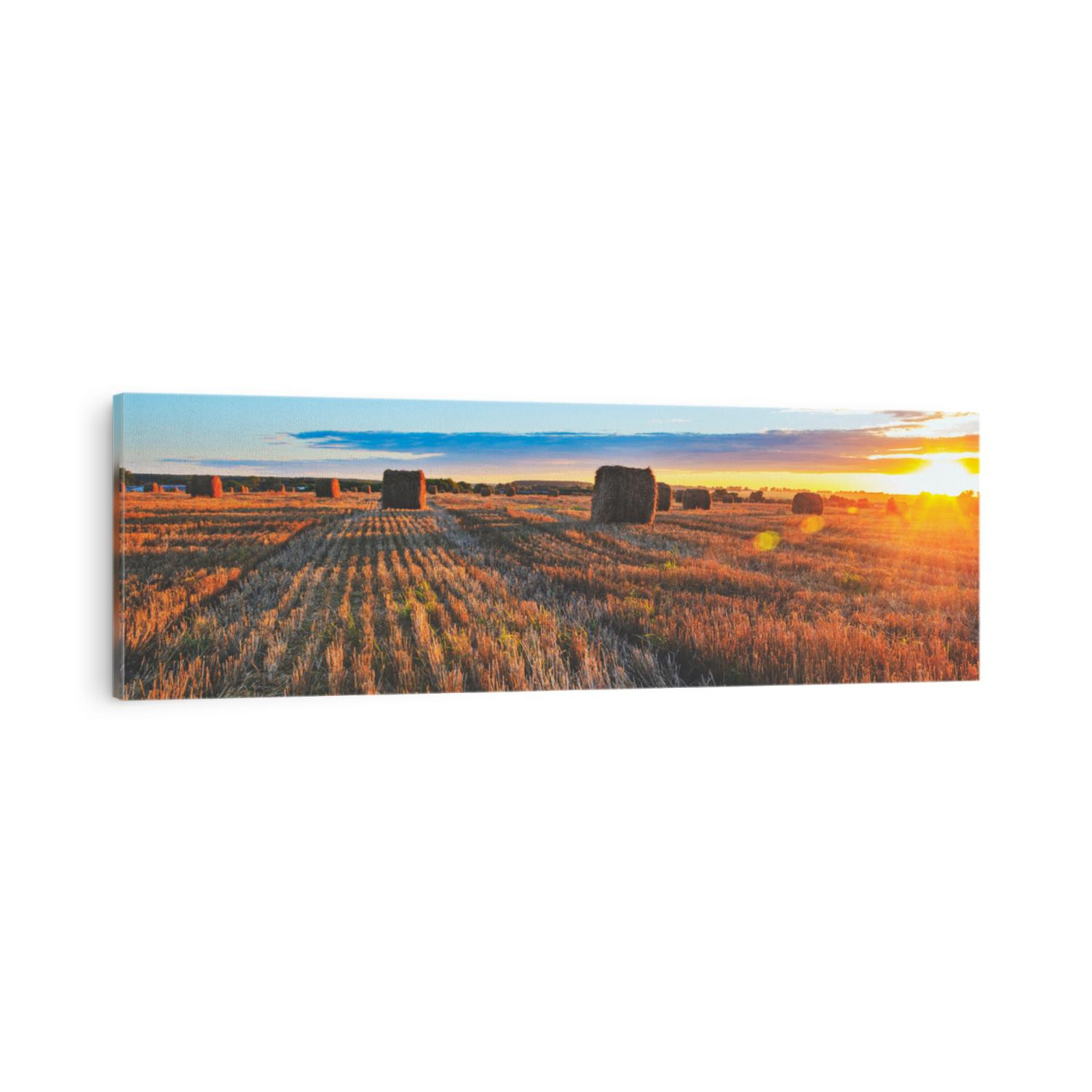 Panoramic view of hay bales on the field after harvesting illuminated by the last rays of setting sun.Sunny summer country landscape.End of summertime.Tula region,Russia