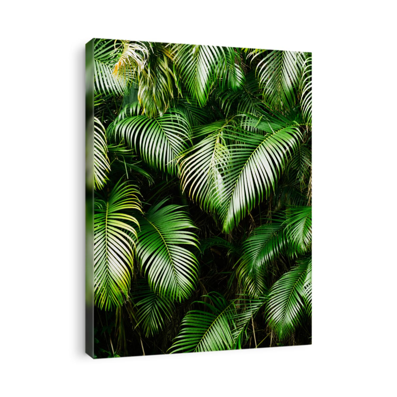 Nature background of tree leaf in tropical area.