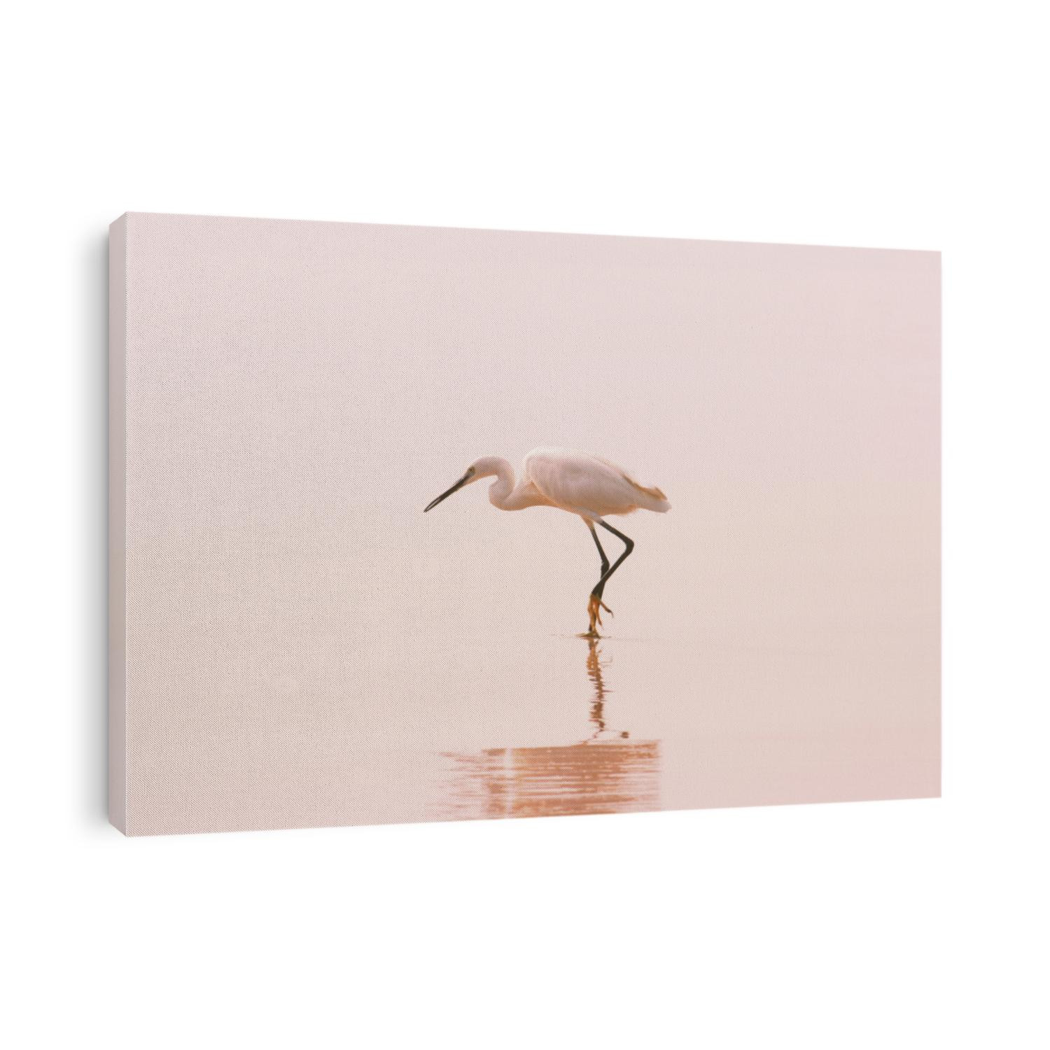 Great White Egret with reflection on the clean sand tropical beach. Great Egret (Ardea alba) stalking a fish in early morning. Travel concept. Pink pastel toned background in minimalist style.