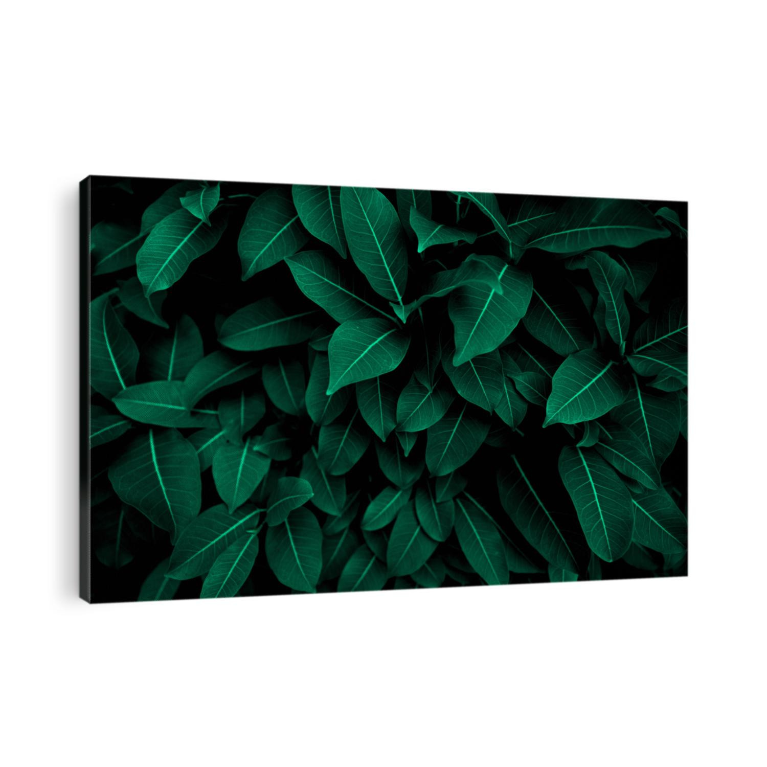 Green leaves pattern background, Natural background and wallpaper