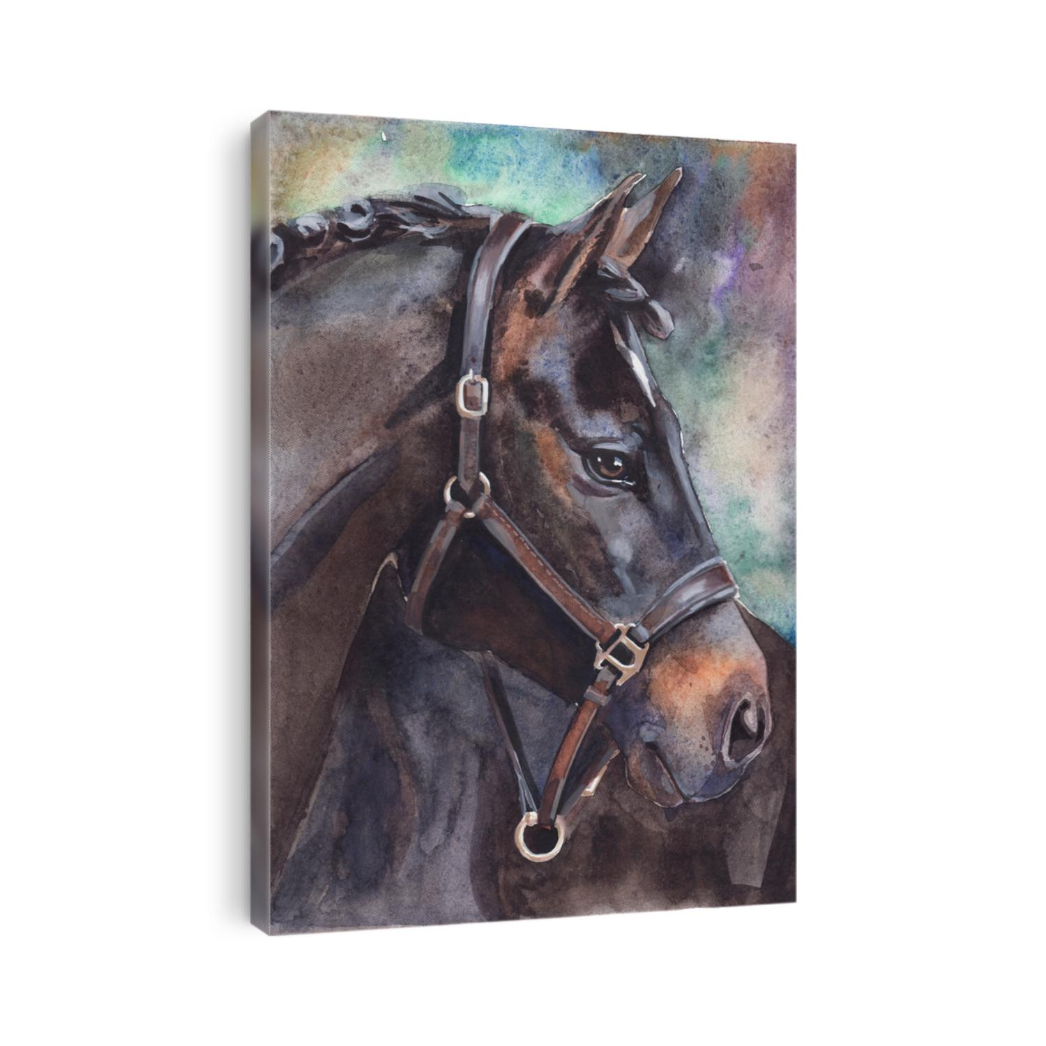 Watercolor sketch of horse head on paper