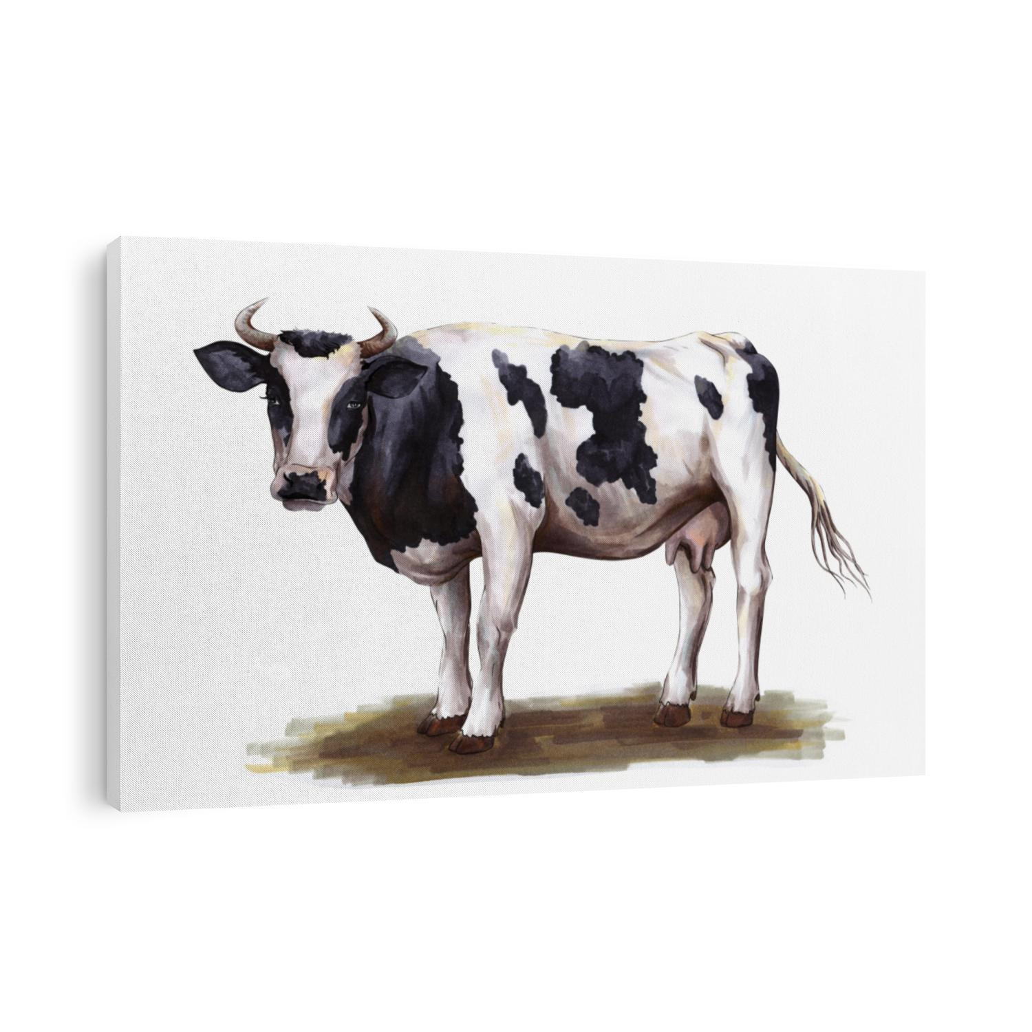 black and white cow standing on the grass