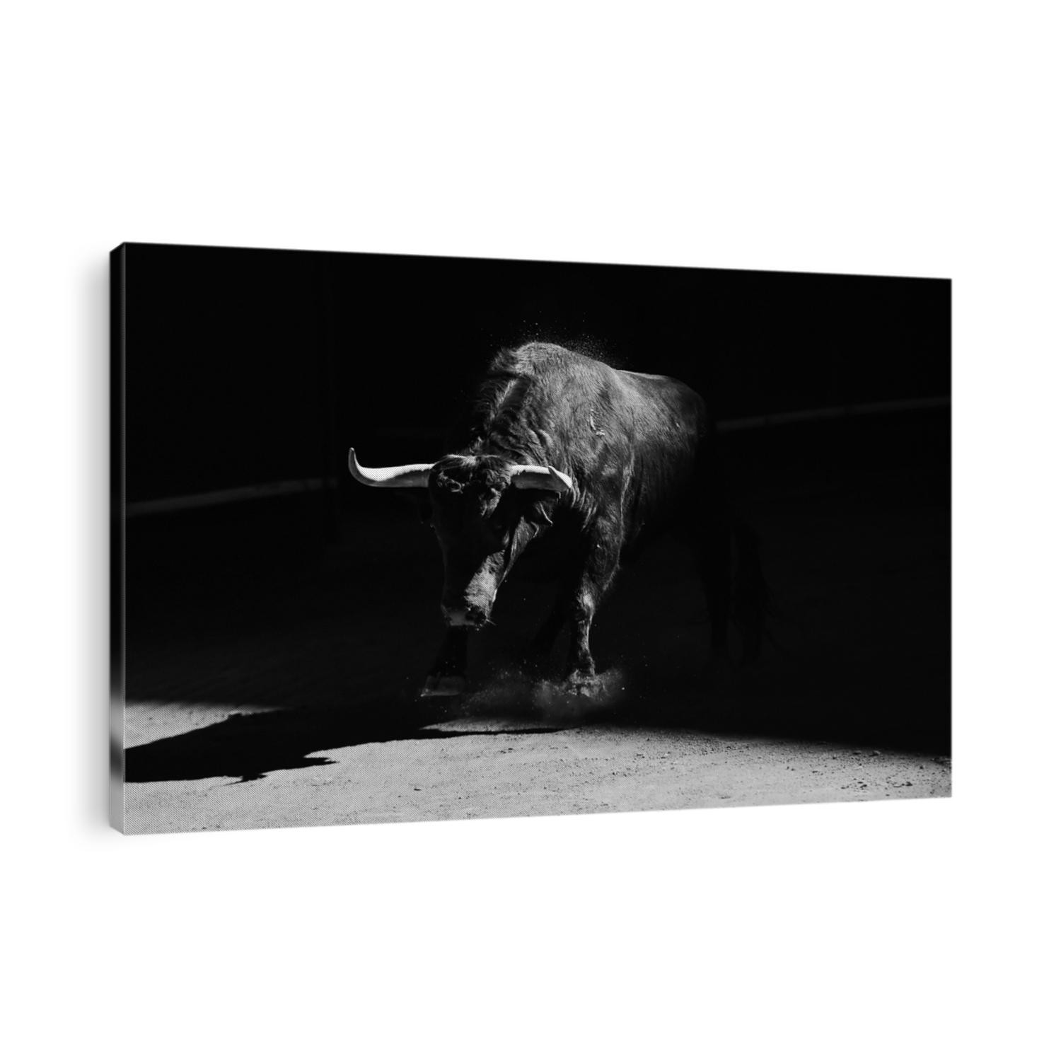 Bull in bullring on spain