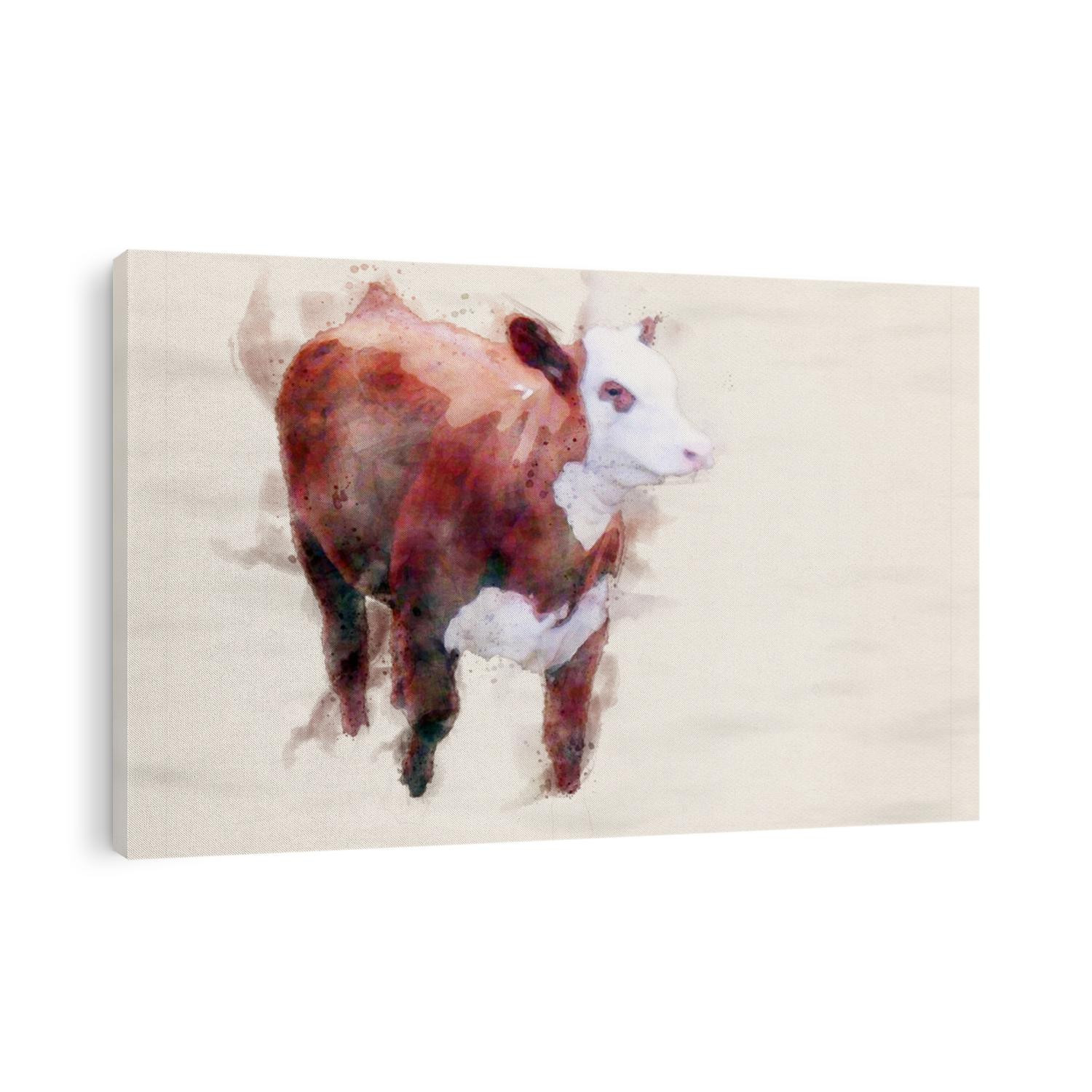 Watercolor Painting of Hereford Bull Calf