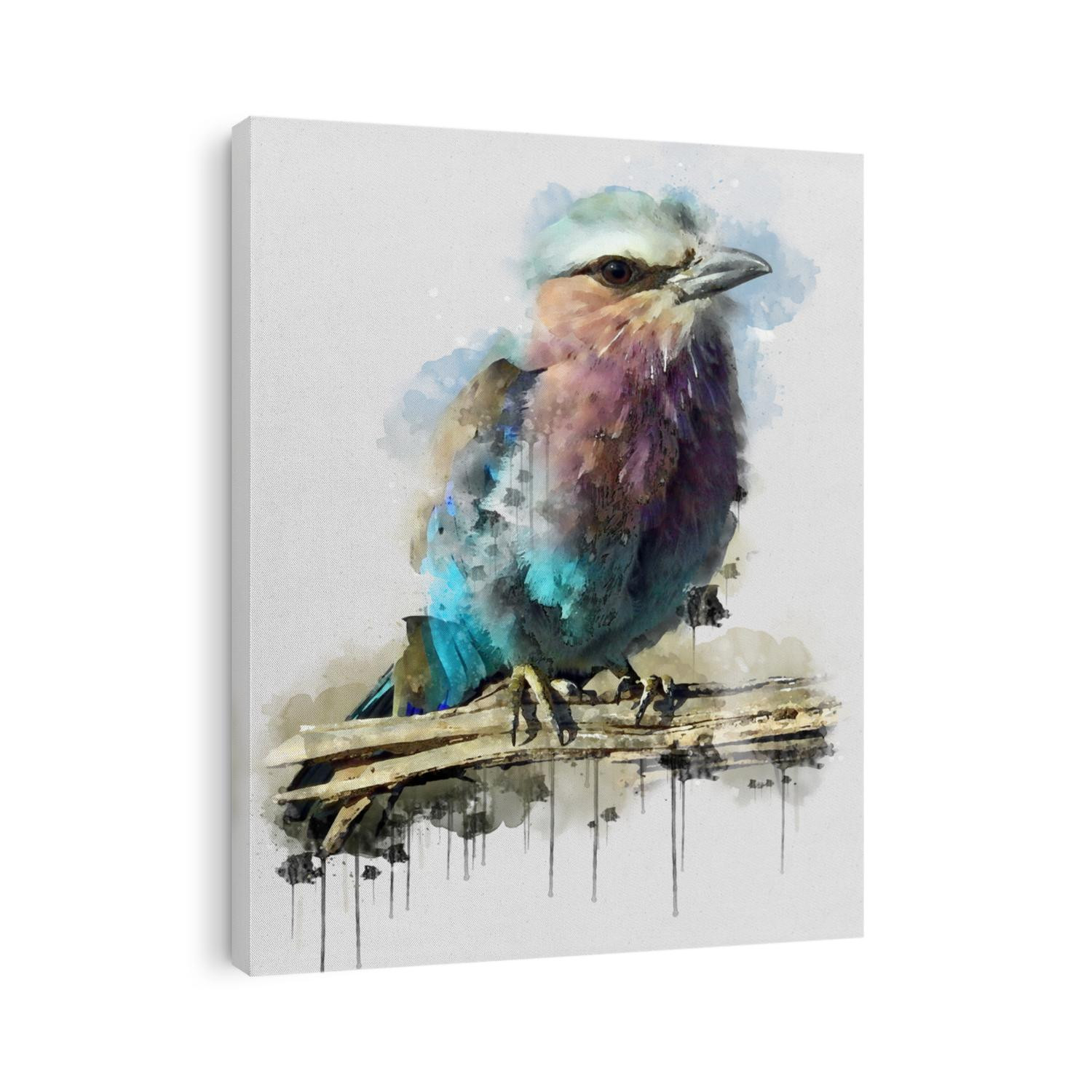 Beautiful Blue Brown Bird. Beautiful Digital watercolour painting of Bird. Isolated painting of Exotic Birds. Endangered Animal Abstract Paintings Wallpaper. Portrait of Bird