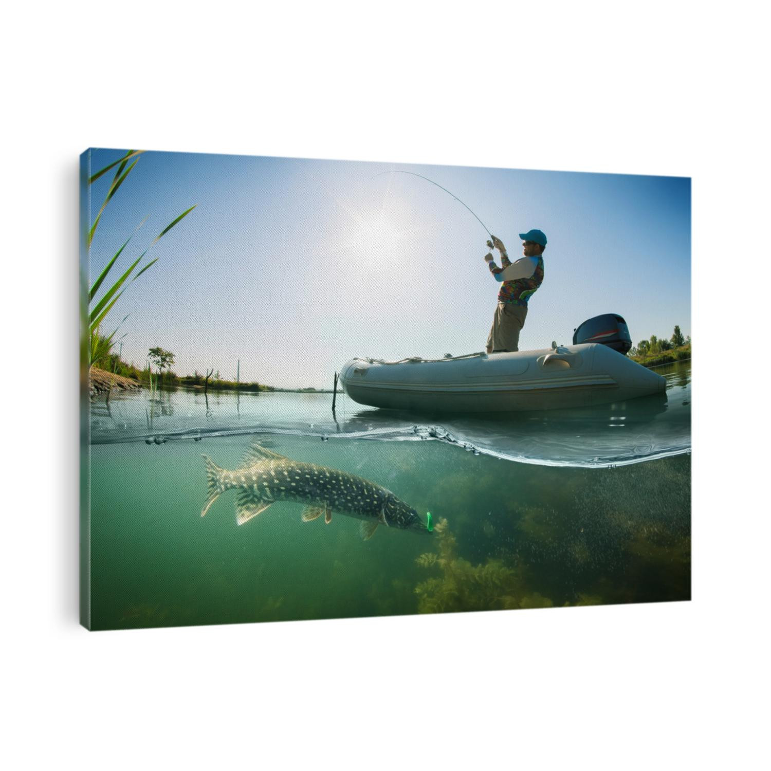 Fisherman and pike, underwater view
