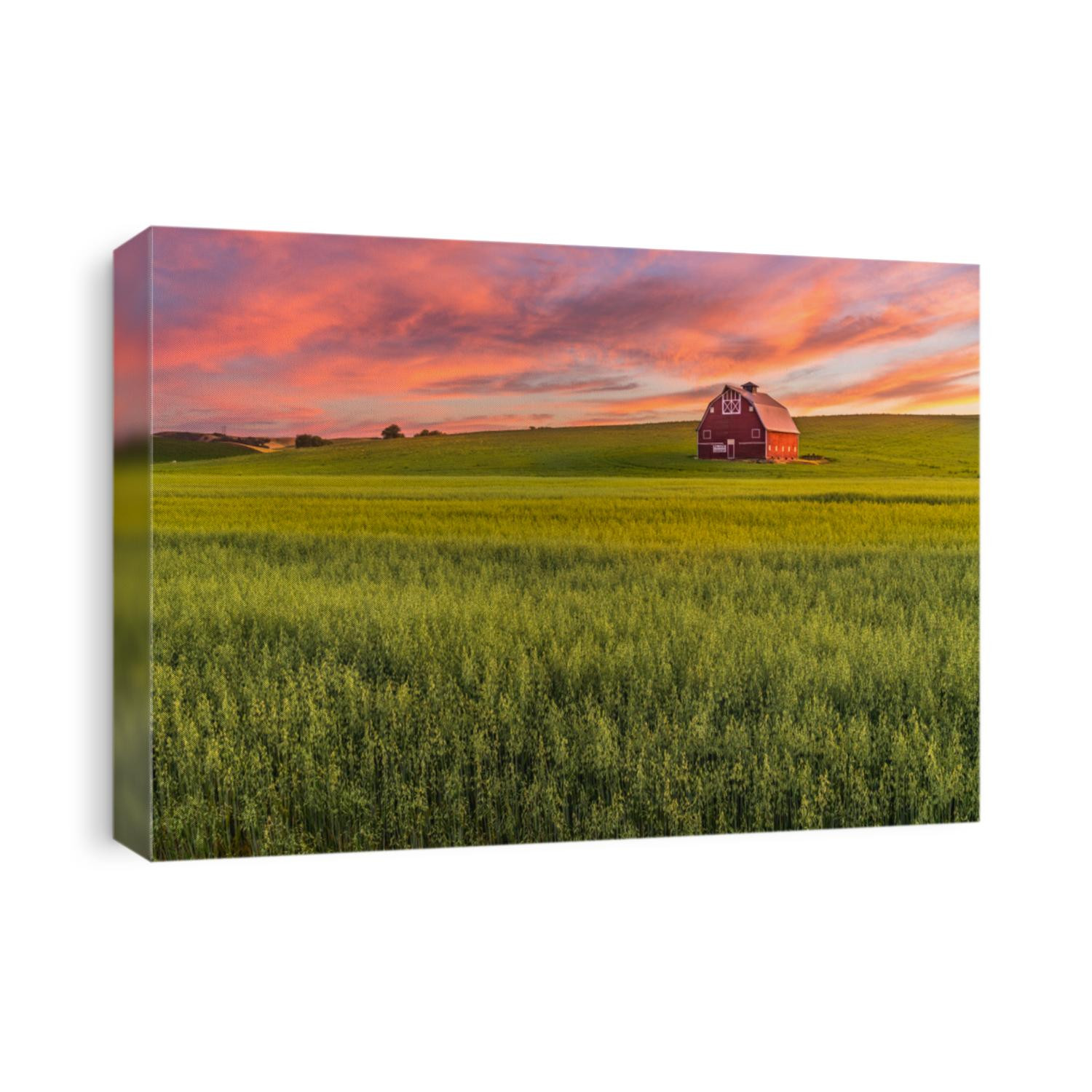 Red barn in Washington field at sunset