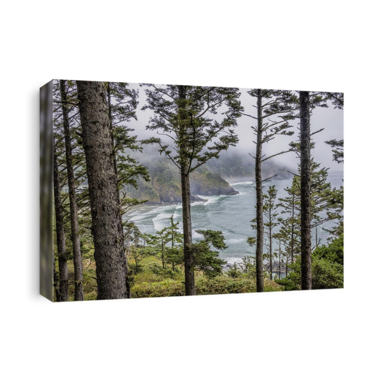The forest and coast on the Oregon Coast 