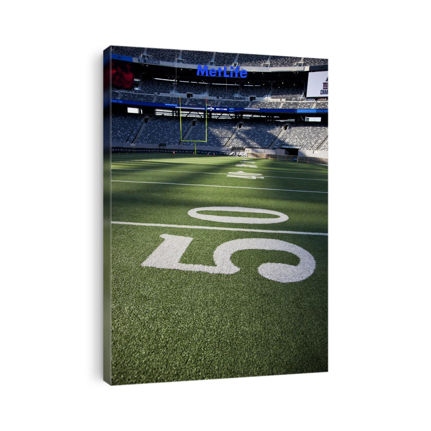 50 yard line marker in American Football stadium.