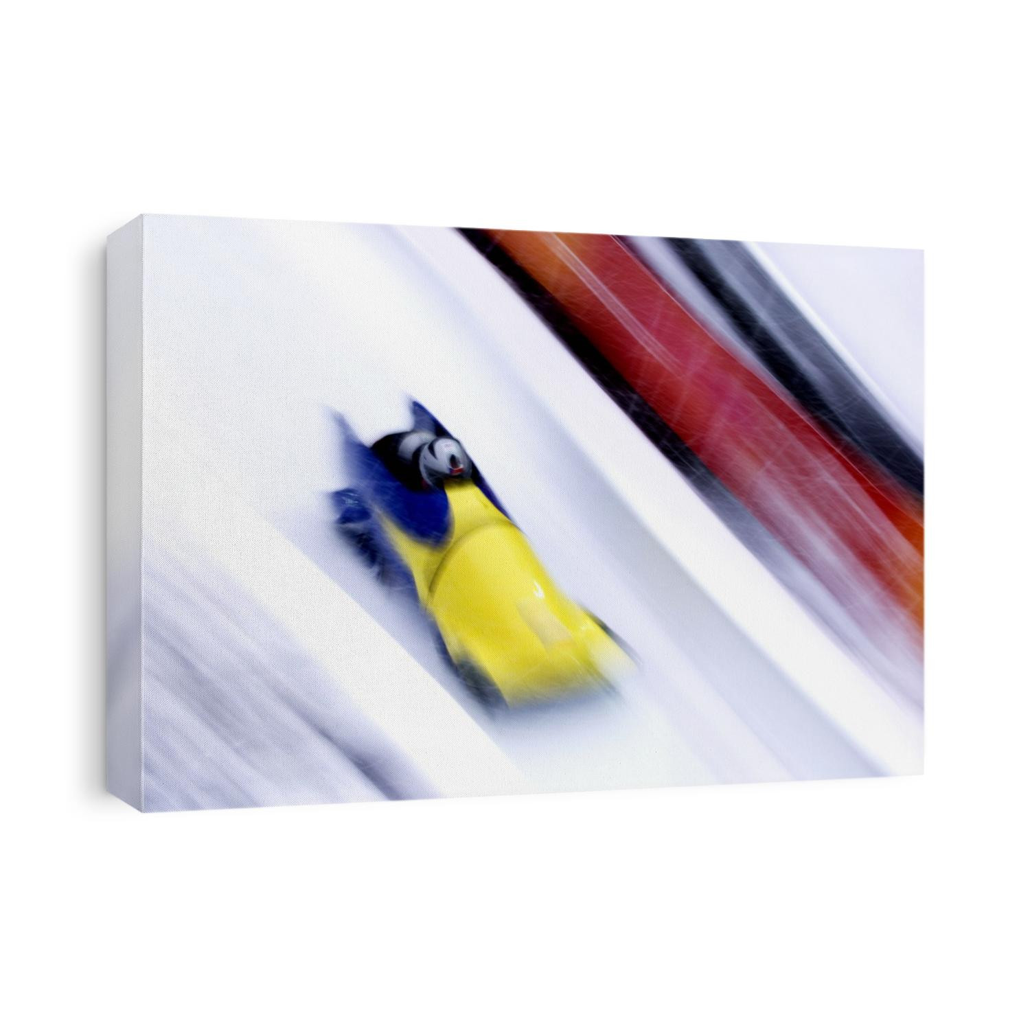 Two man bobsled in action