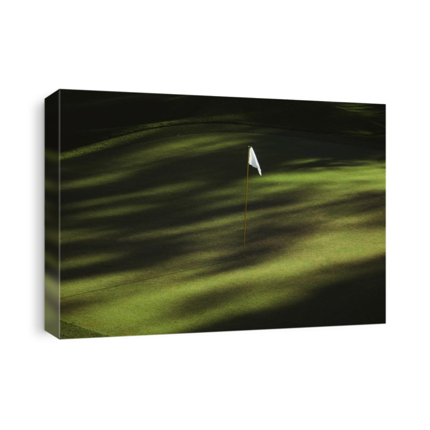 Golf flag on the green.