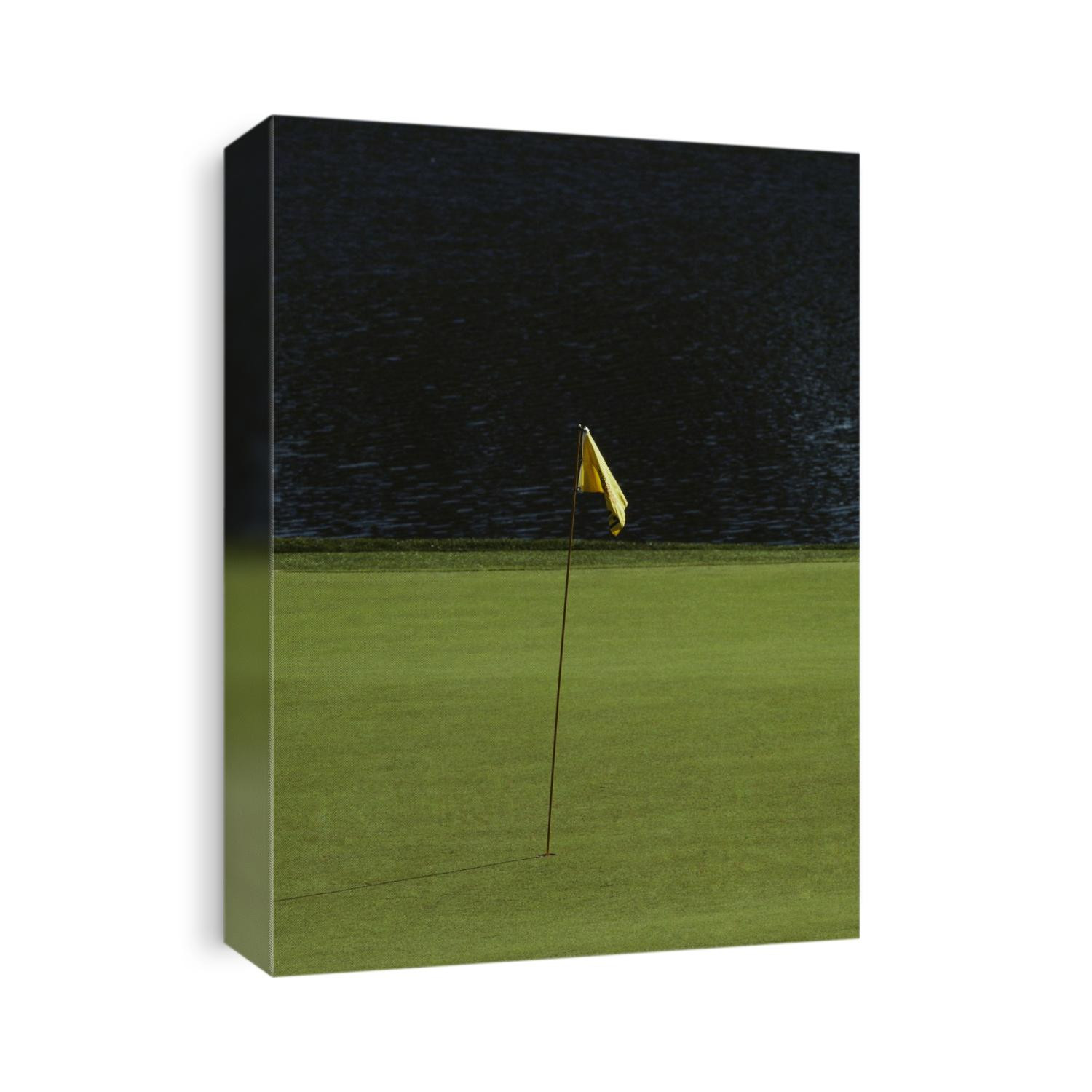 Golf flag on the green.