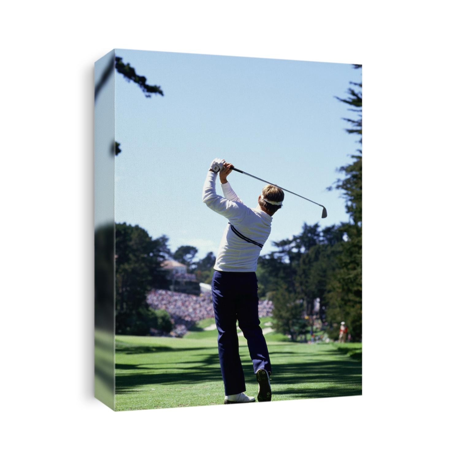 Rear view of male golfer driving down the fairway.