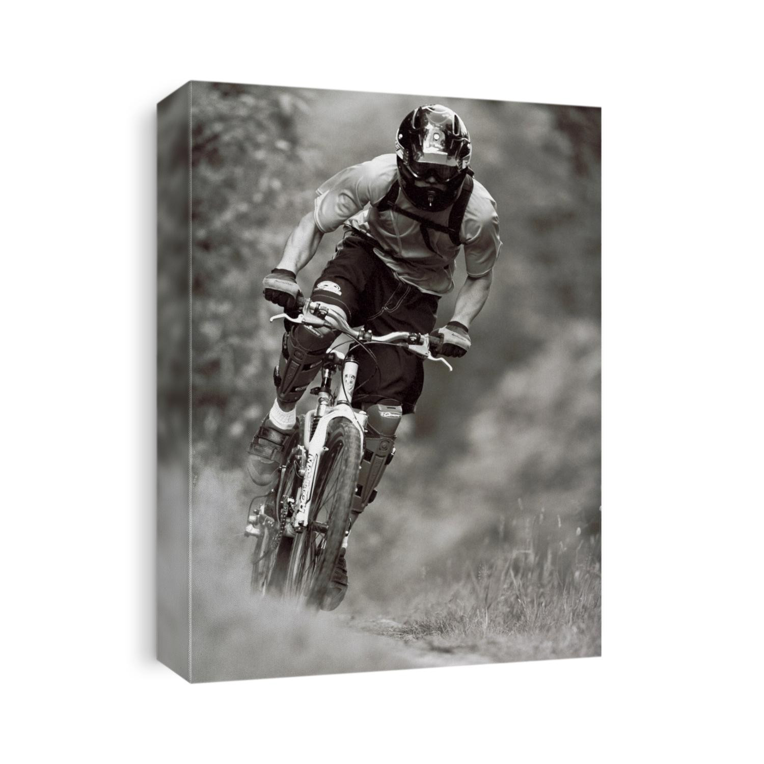 Male mountain biker on the trails