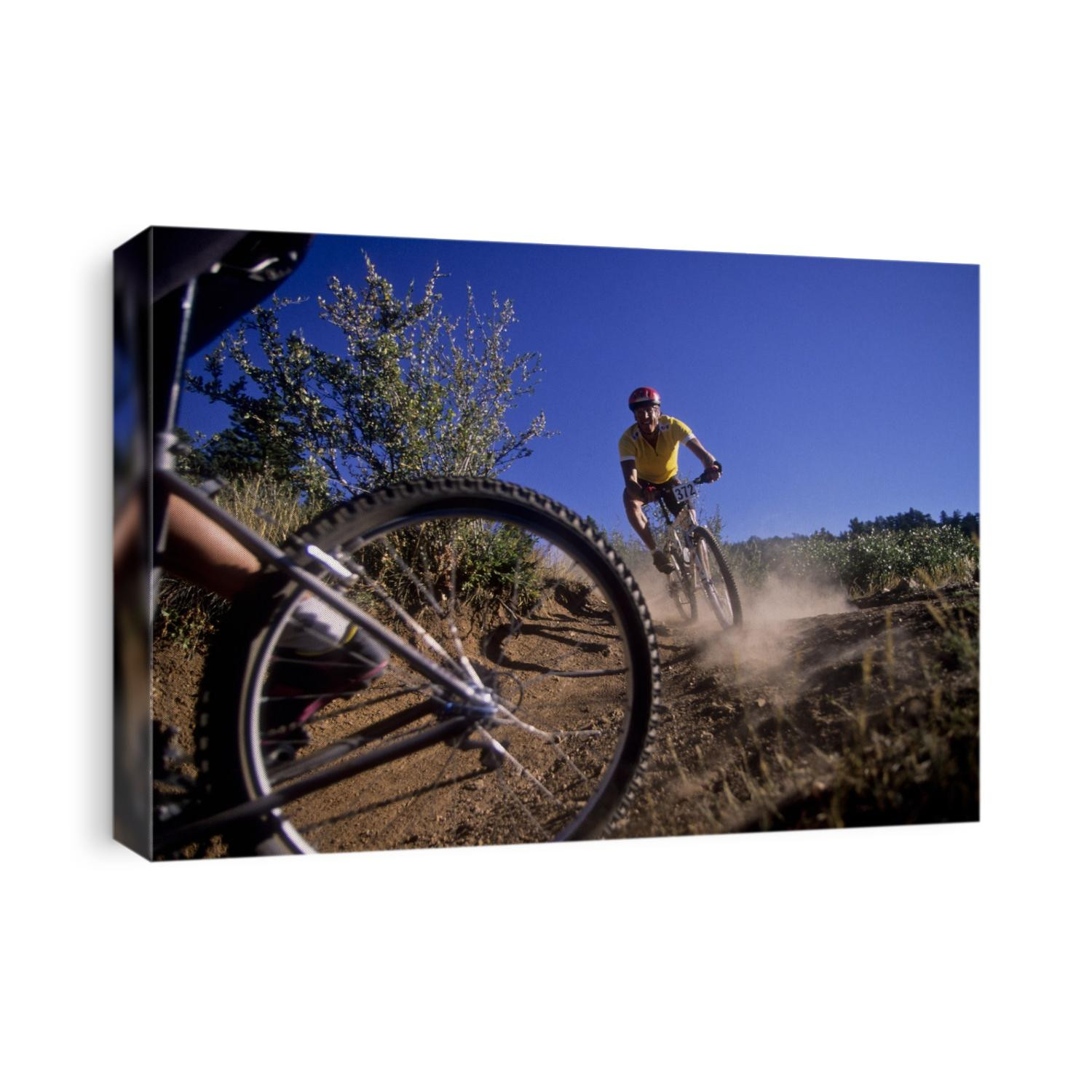 Recreational mountain biker riding on the trails.