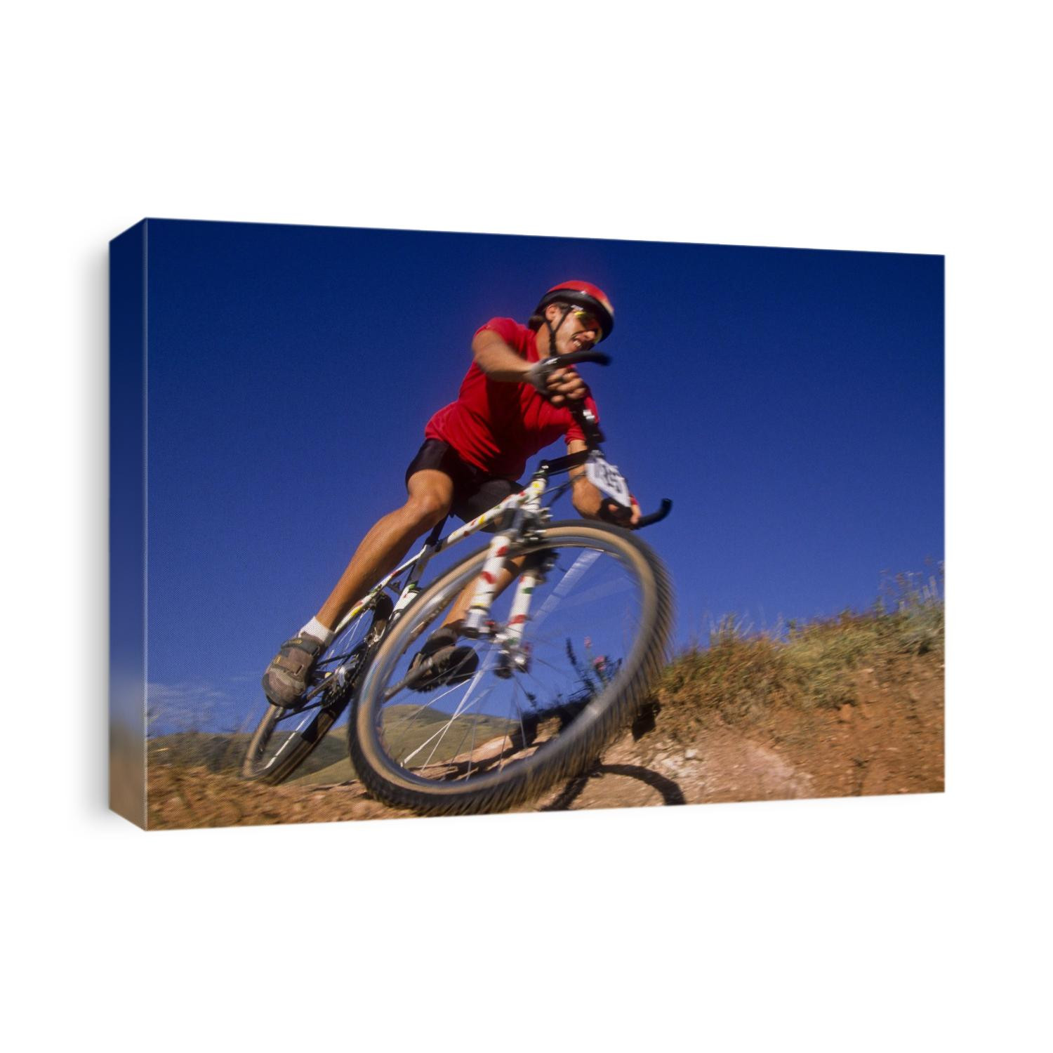 Recreational mountain biker riding on the trails.