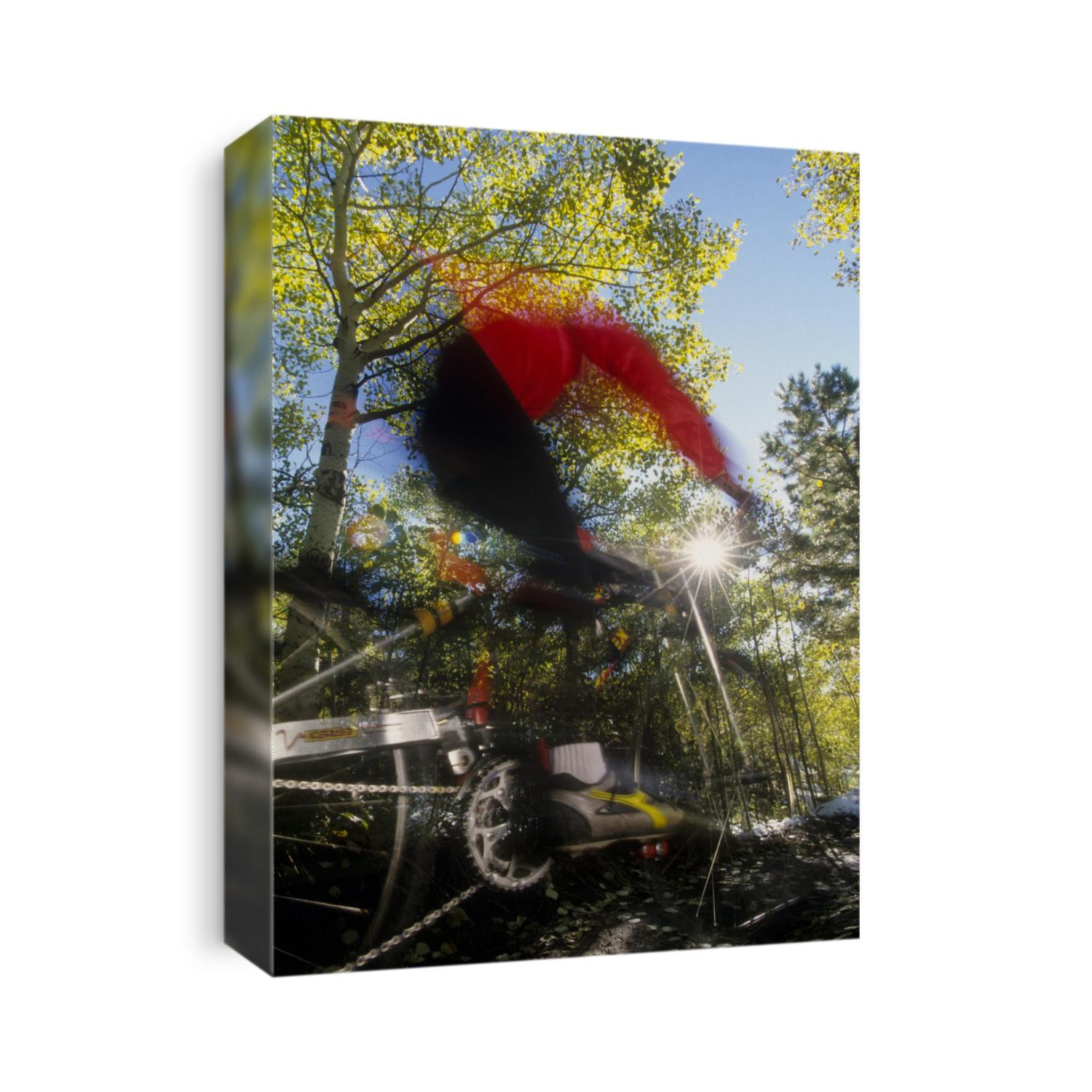 Blurred action of recreational mountain biker riding on the trails.
