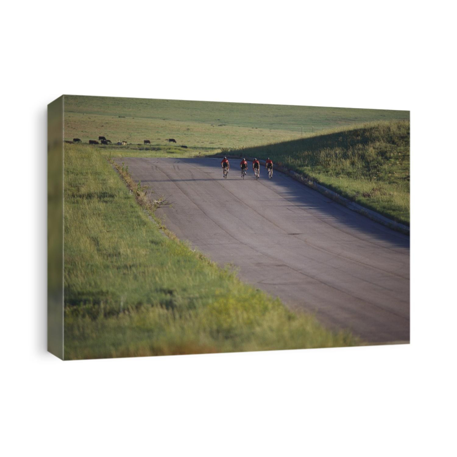 Road cycling team in action.