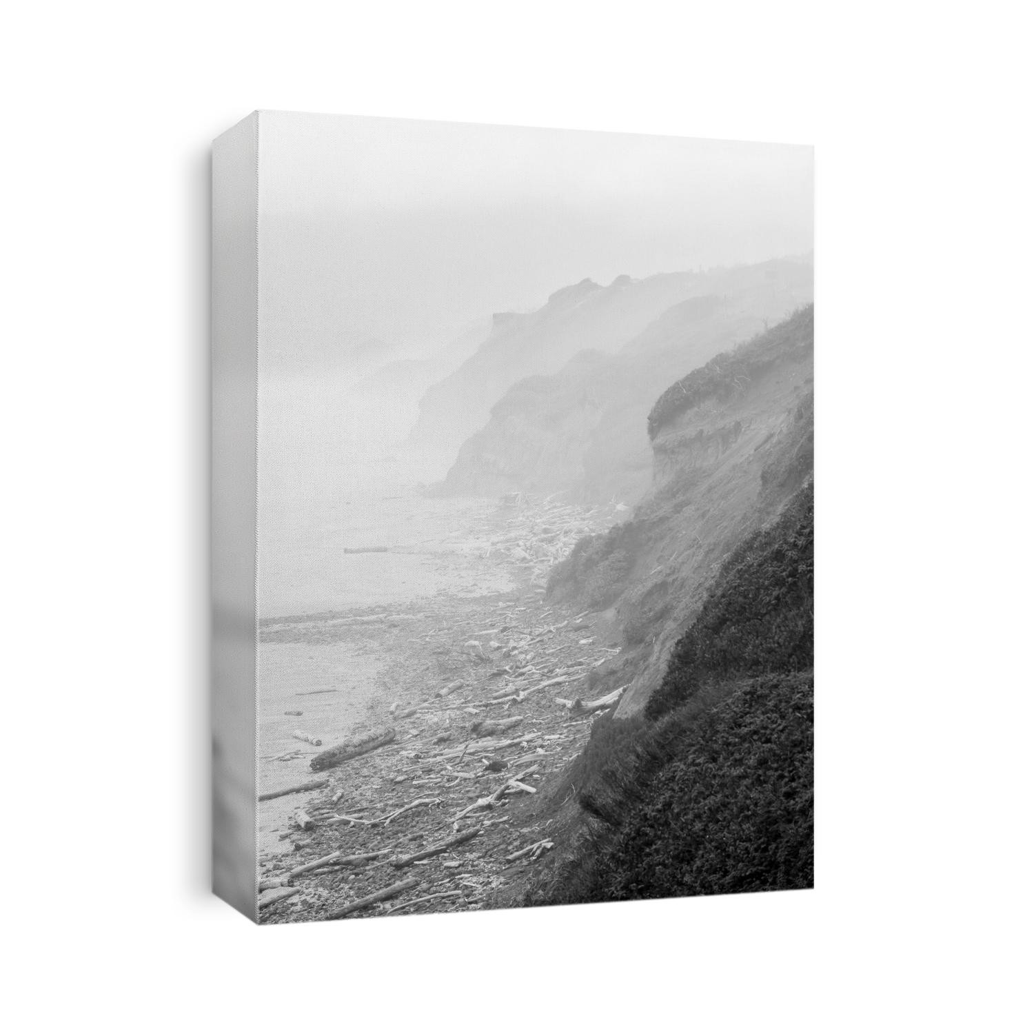 The coastline north of Newport, Oregon