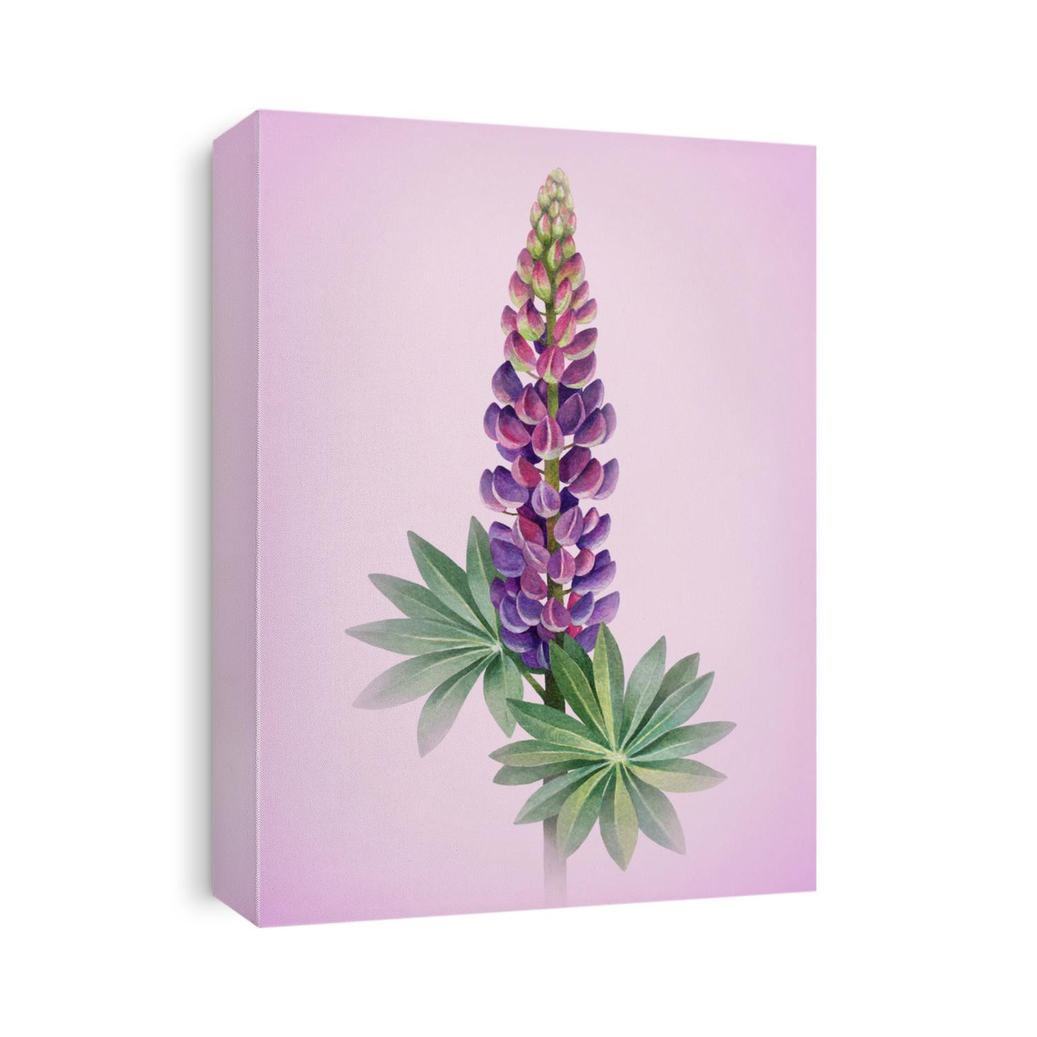 A watercolor illustration of lupines. Perfect for greeting cards