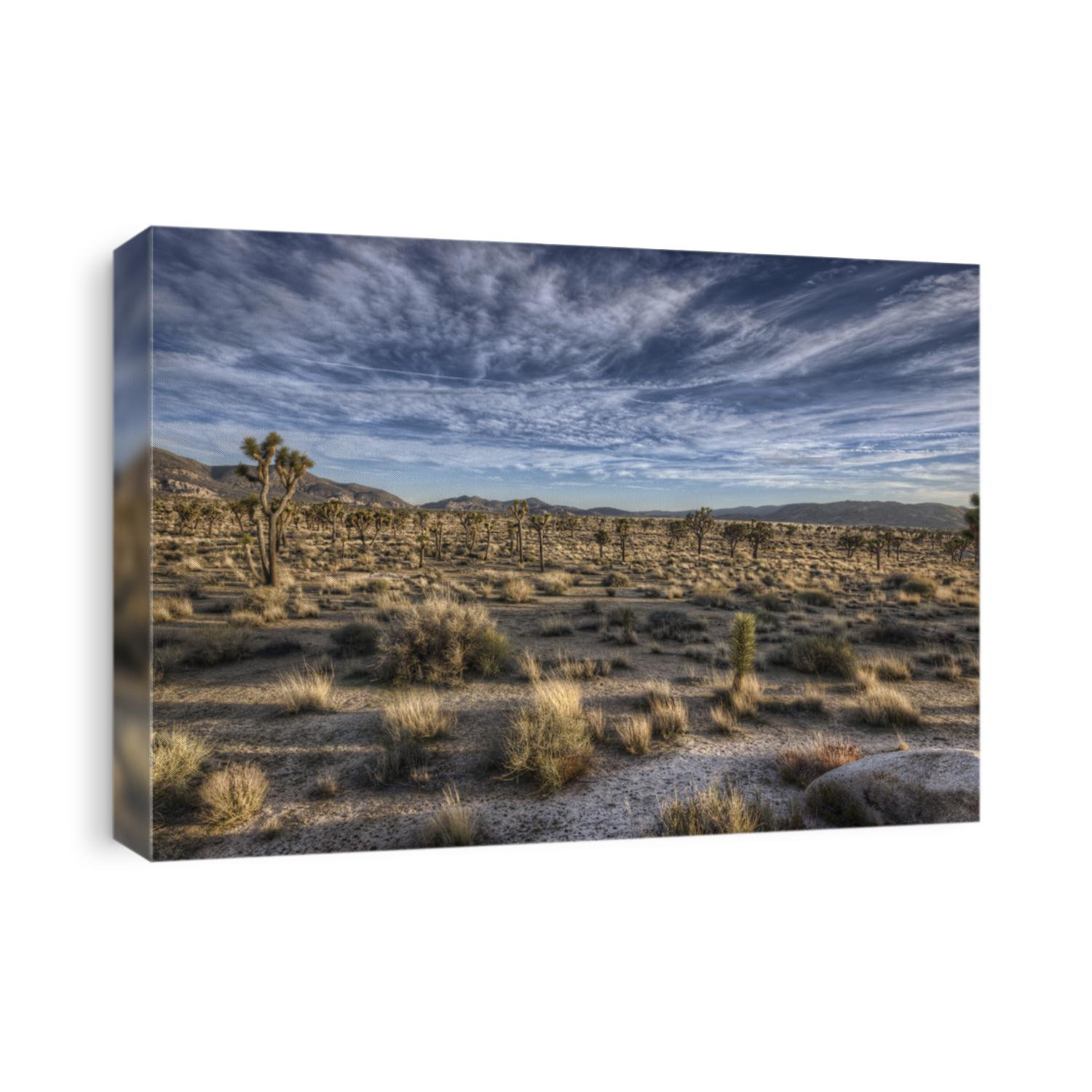 desert floor