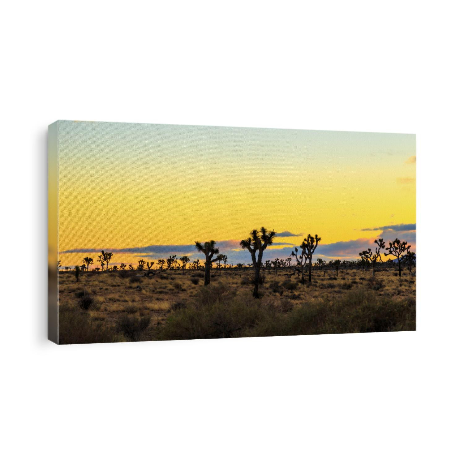 Joshua Tree National Park