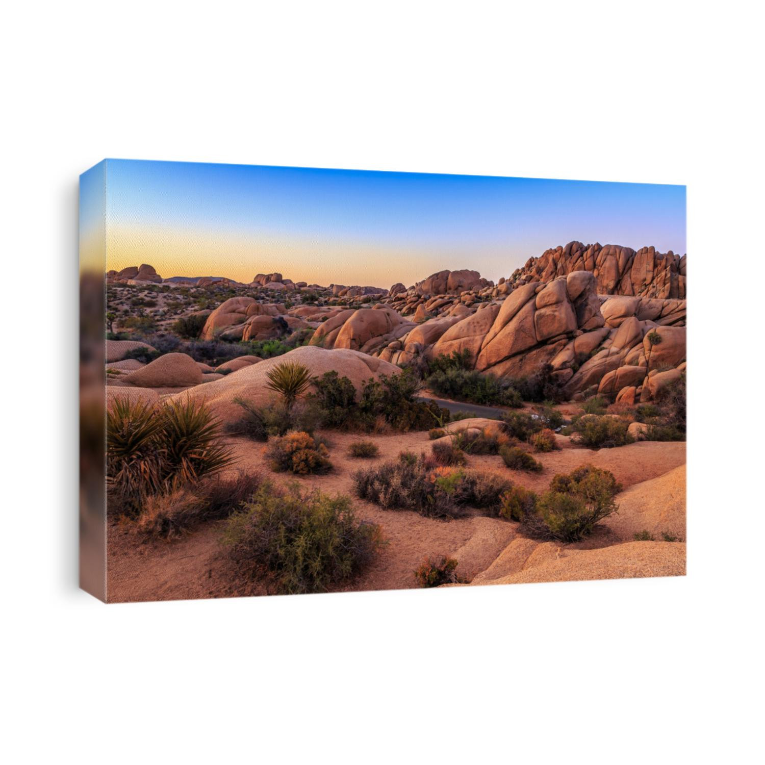 Sunset on the Jumbo Rocks, Joshua Tree National Park, California