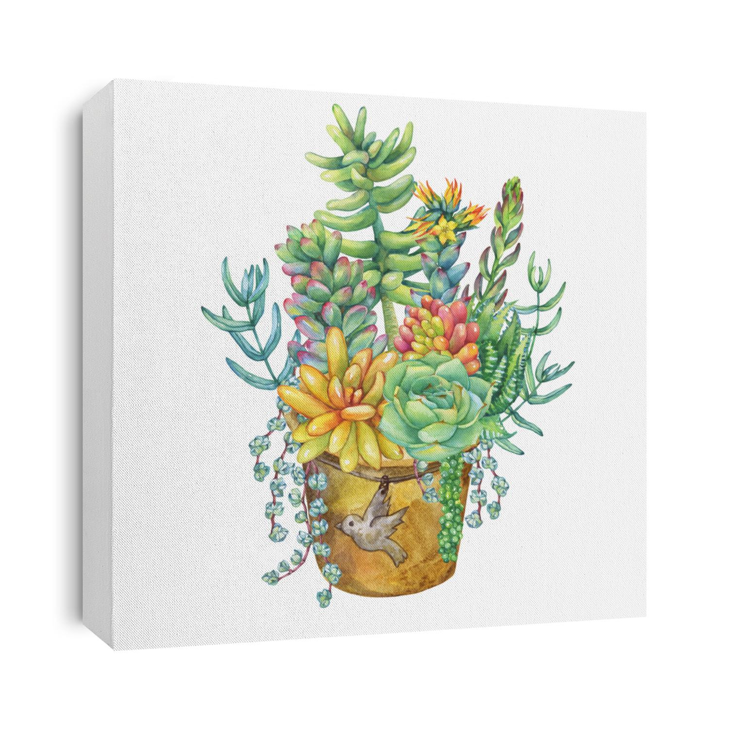 Bouquet of succulents in pot. Watercolor hand drawn painting illustration isolated on white background.