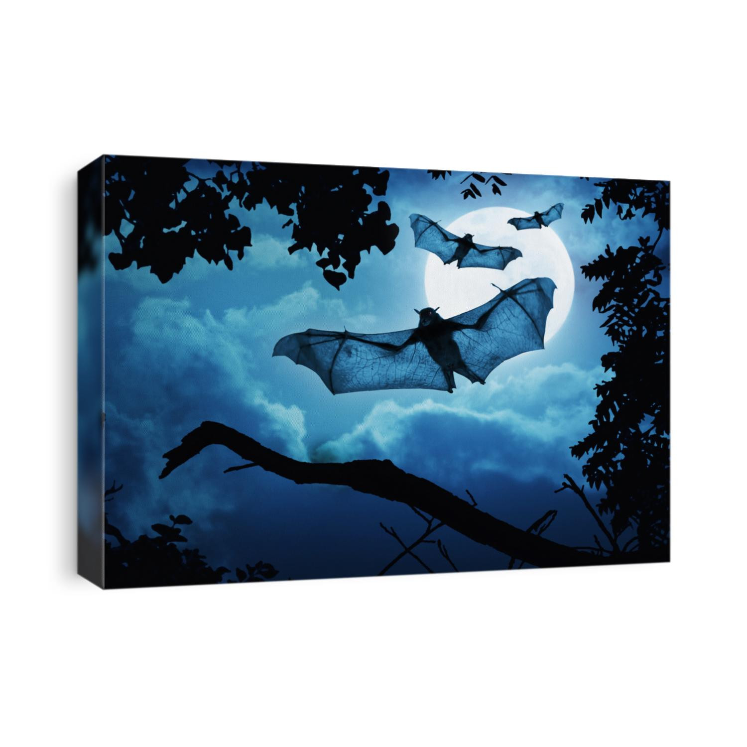 These creepy bats fly in on Halloween Night with a full moon behind them.