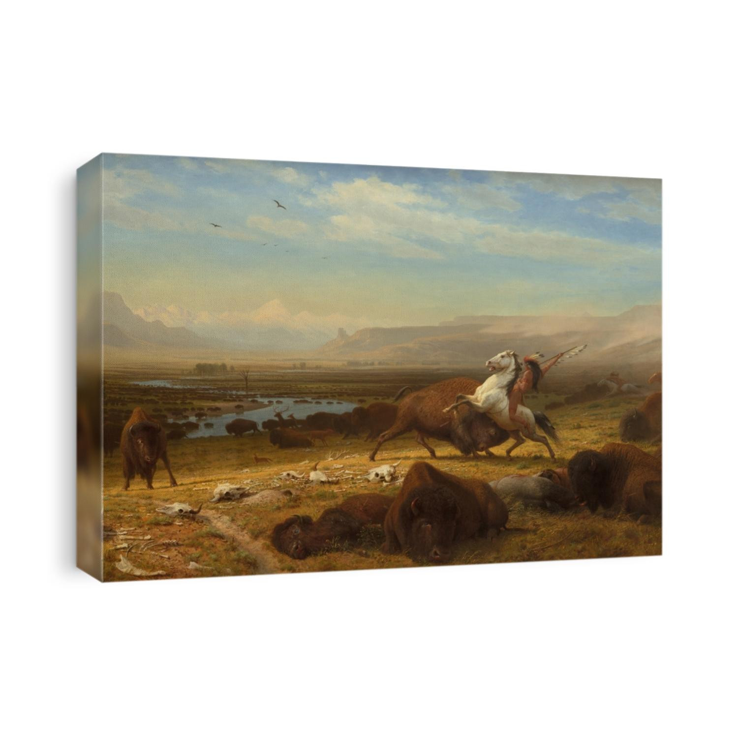 The Last of the Buffalo, by Albert Bierstadt, 1888, American painting, oil on canvas. When painted in 1888, the American buffalo population had fallen to about 1000