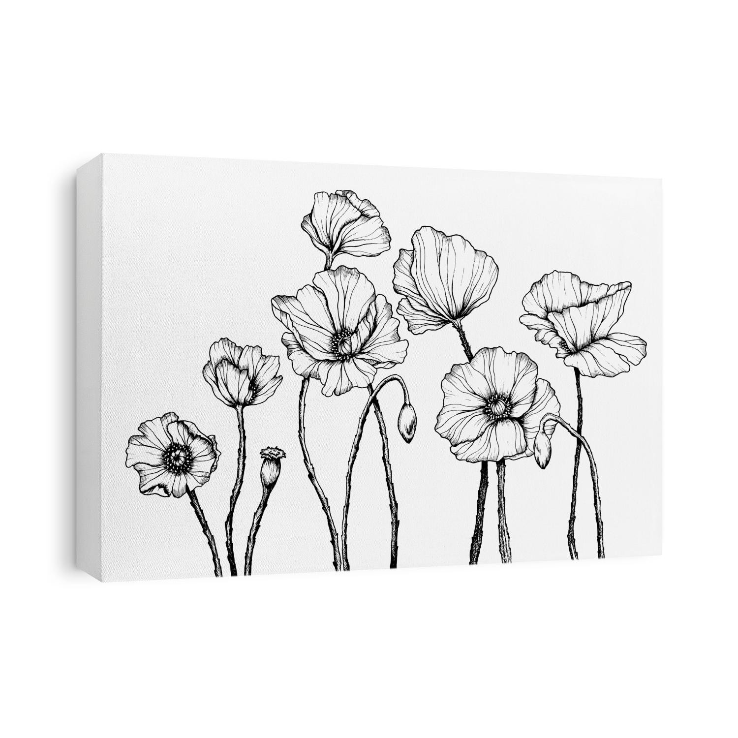 Vector line art with poppies. Black wall art. Monochrome floral background wallpaper. Flower ornament good for web, print and stencil.