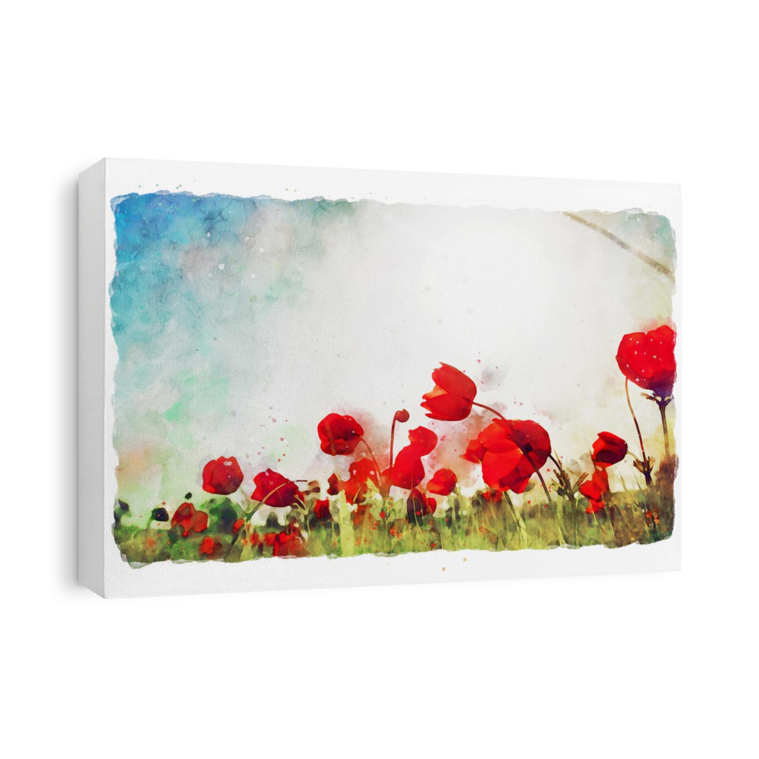watercolor style and abstract image of red poppy in the green field
