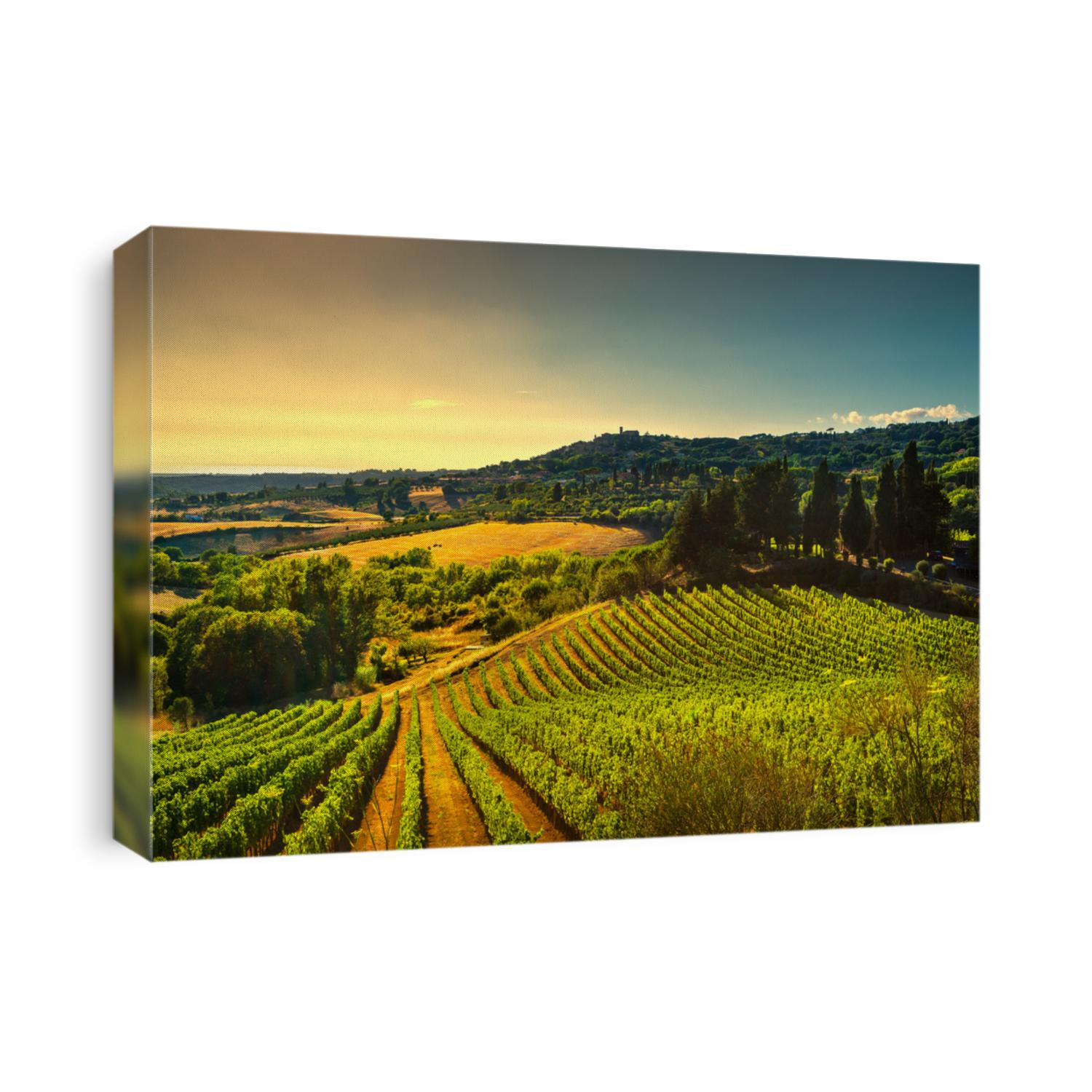 Casale Marittimo village, vineyards and countryside landscape in Maremma. Pisa Tuscany, Italy Europe.