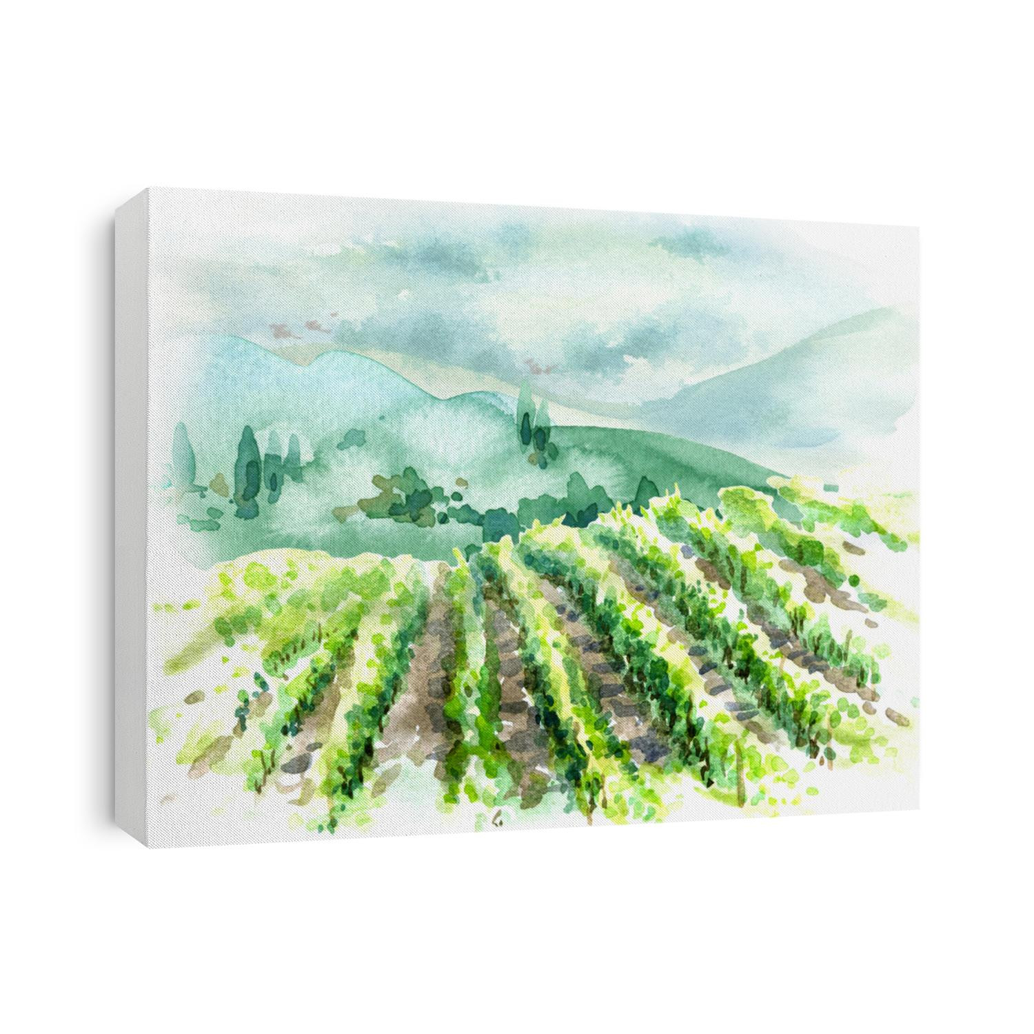 Hand drawn rural scene with vineyard, hills, trees and bushes. Summer landscape watercolor sketch.