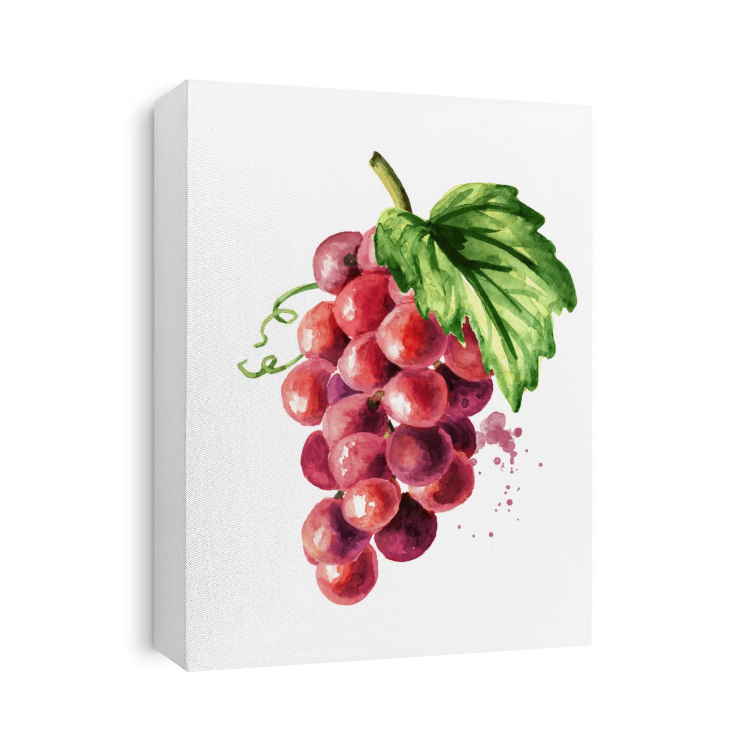Red grape with green leaf. Hand drawn watercolor horizontal  illustration isolated on white background