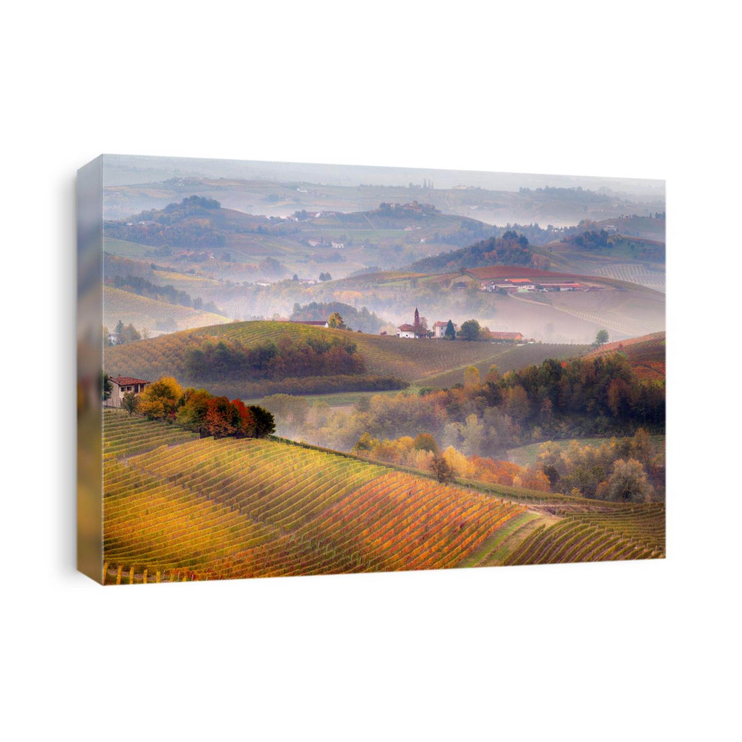 Sunrise on Barolo lands and fog in Langhe Region, Piemonte Piedmont. Unesco World Heritage site in Northern Italy. Agriculture Vineyards and Wine production.