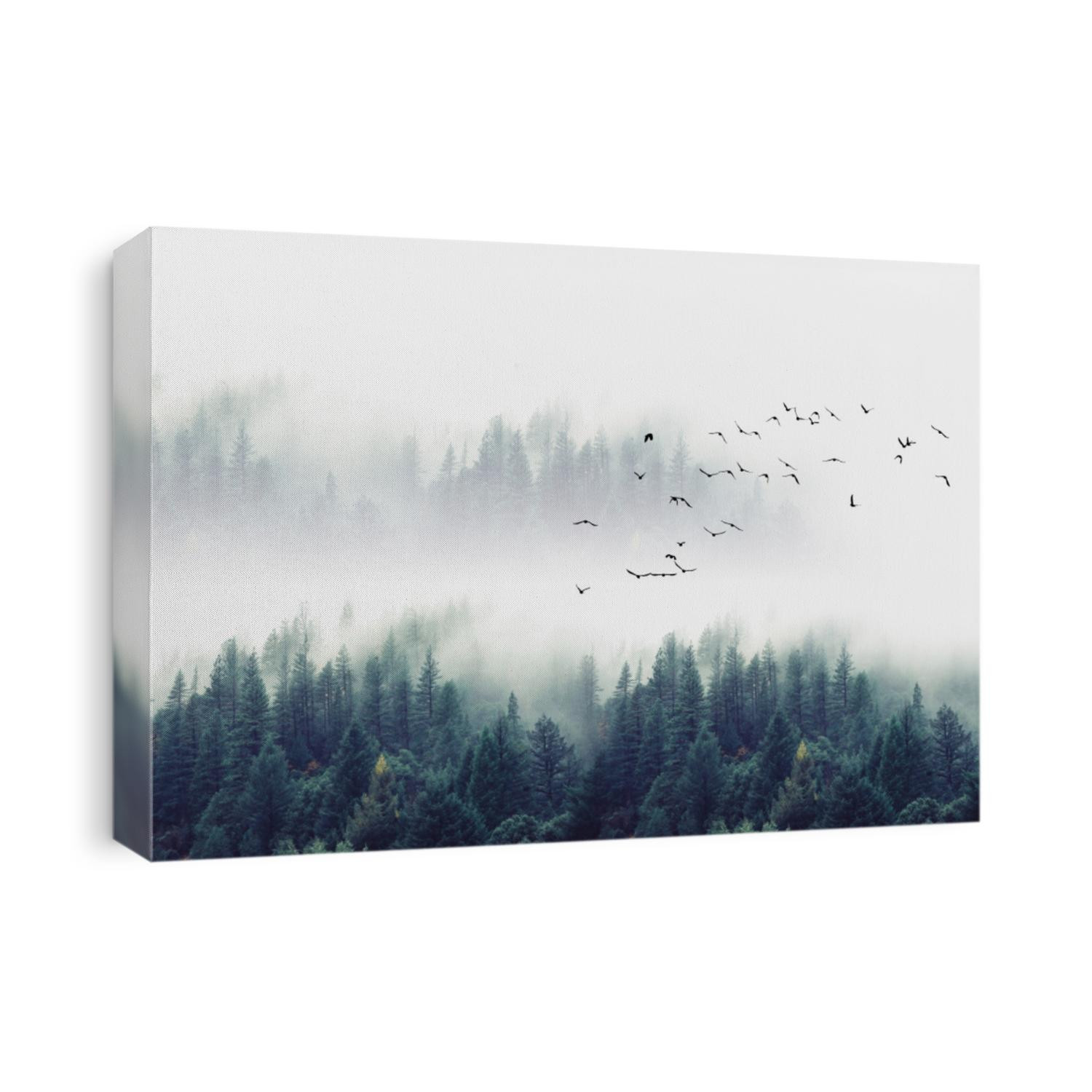 Frozen tree branch. snow on tree snow and branch texture background