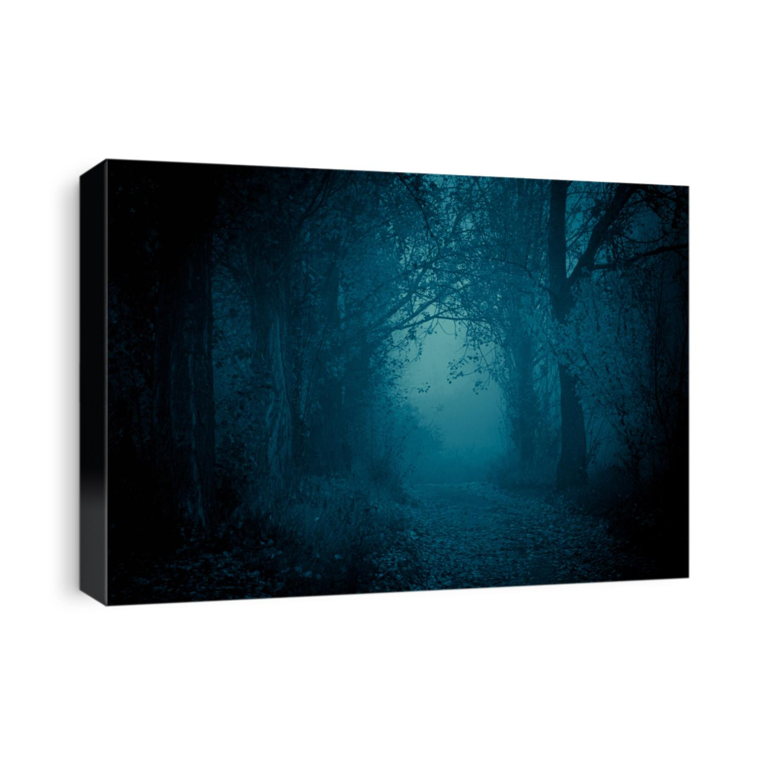 Mysterious, blue-toned forest pathway. Footpath in the dark, foggy, autumnal, cold forest among high trees.