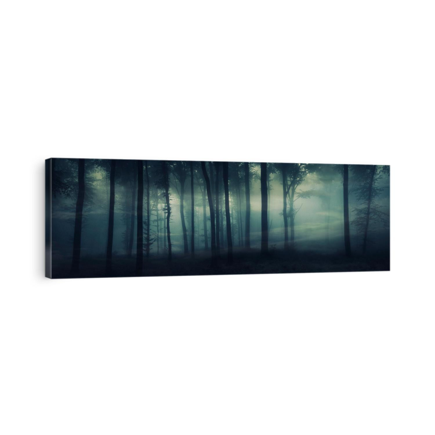 dark mysterious forest panorama, fantasy landscape