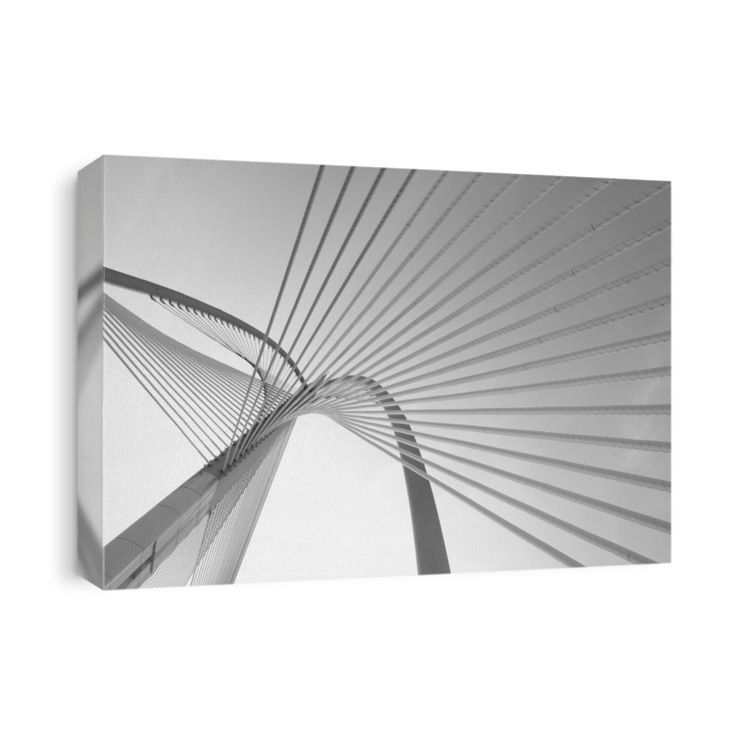 Modern bridge architecture at Putrajaya on a black and white. 