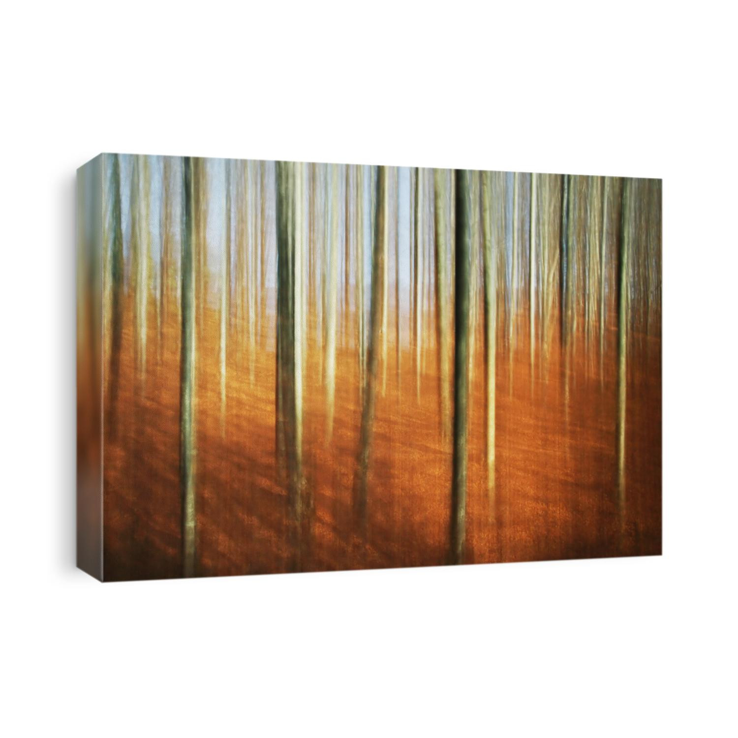 abstract autumn forest