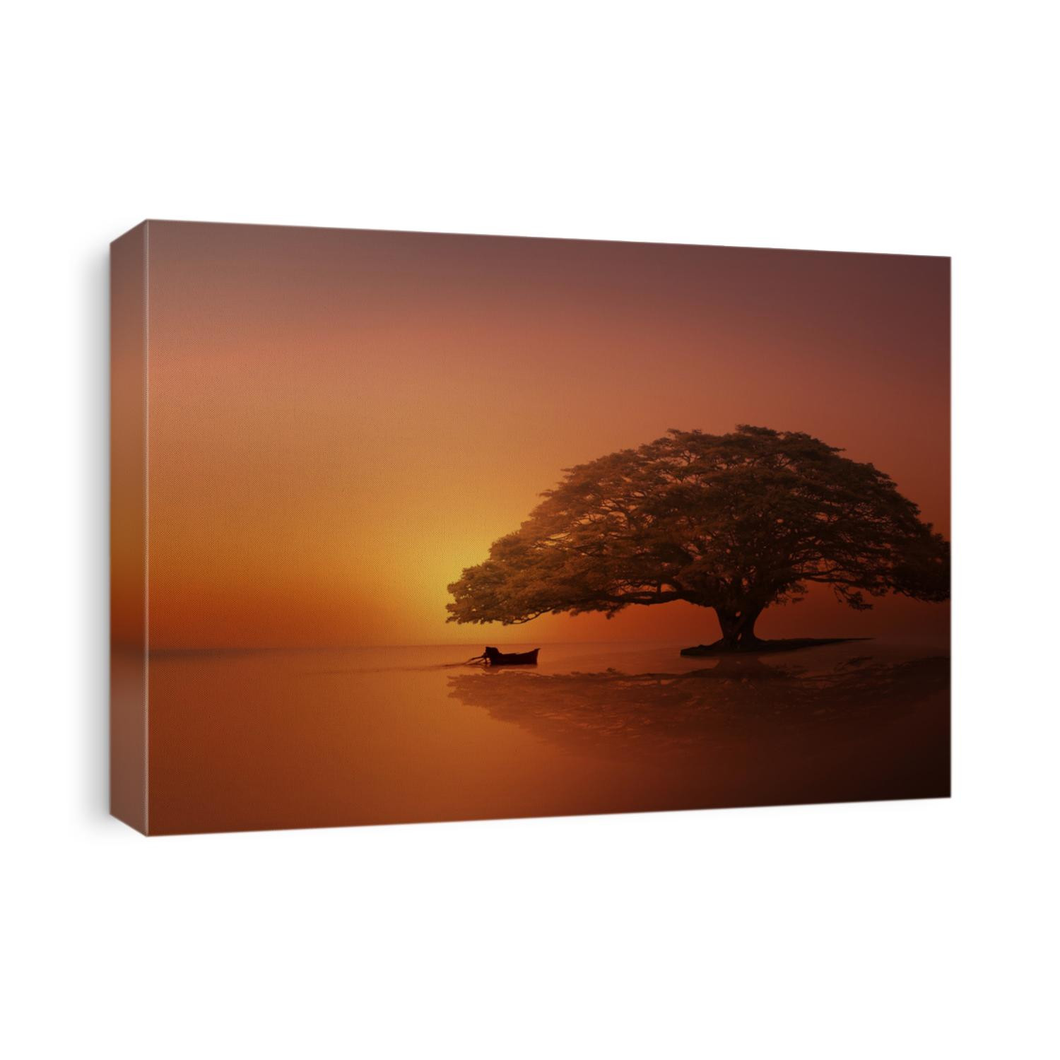 Big Tree an lonely
