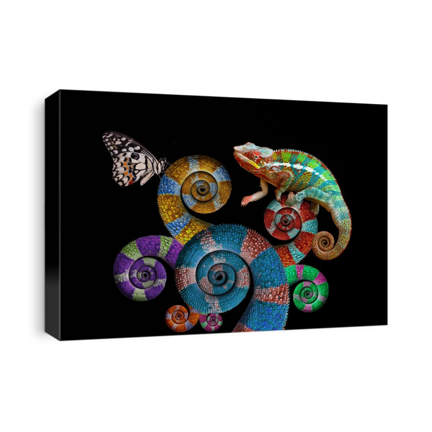 shadow art about chameleons and butterflies, beautiful color chameleon tails