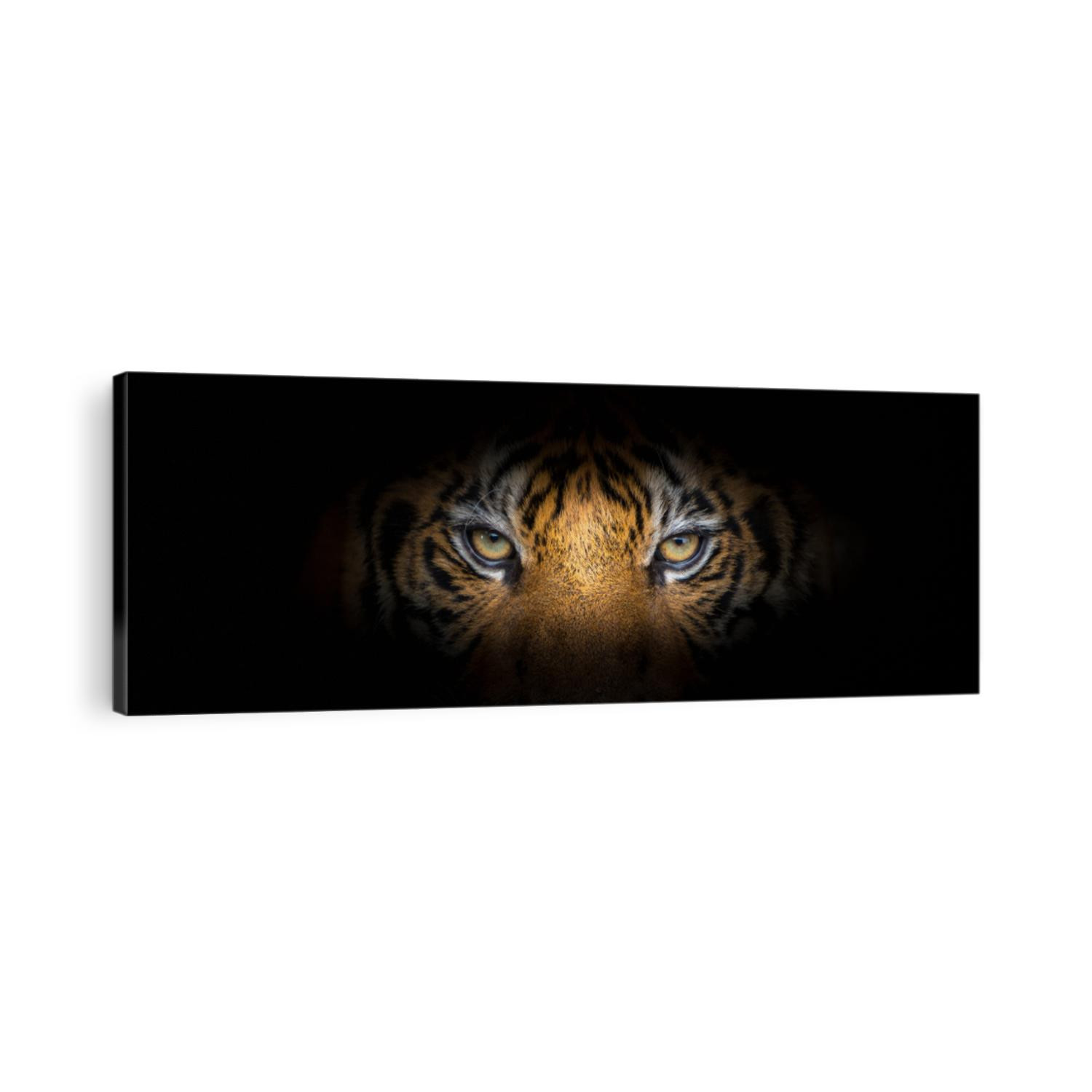 Tiger face on black background