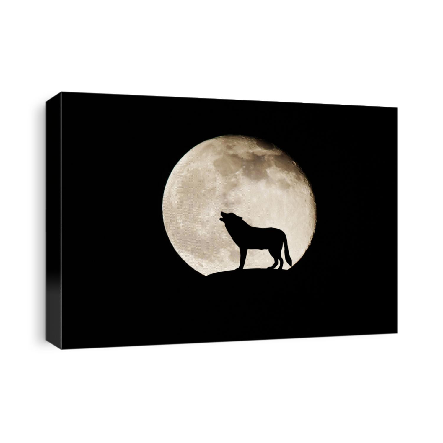 Silhouette Wolf On Full Moon Background
