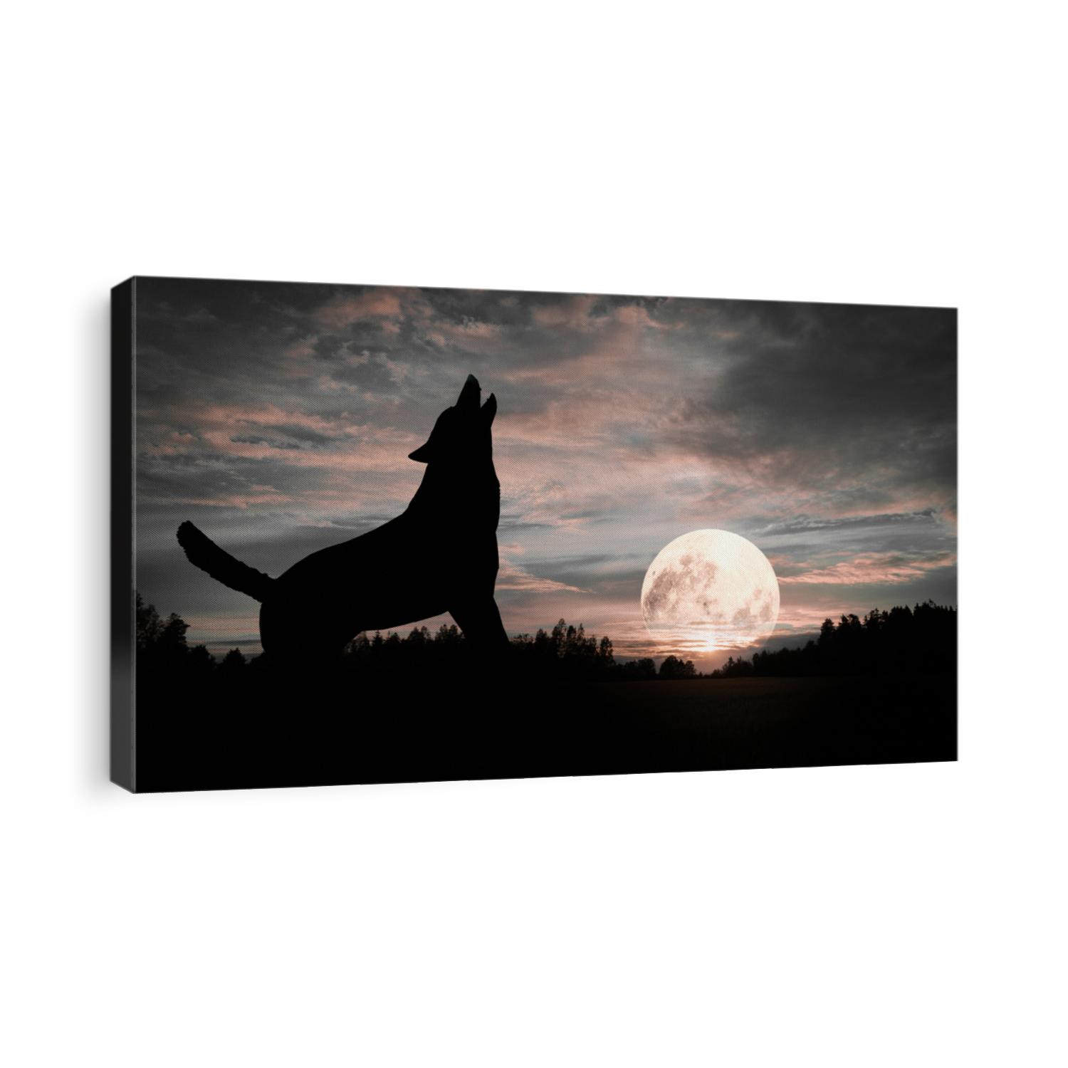 Wolf howling at the Moon