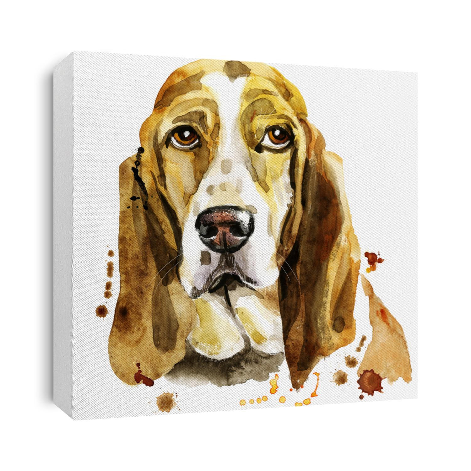 Cute Dog. Dog T-shirt graphics. watercolor basset hound