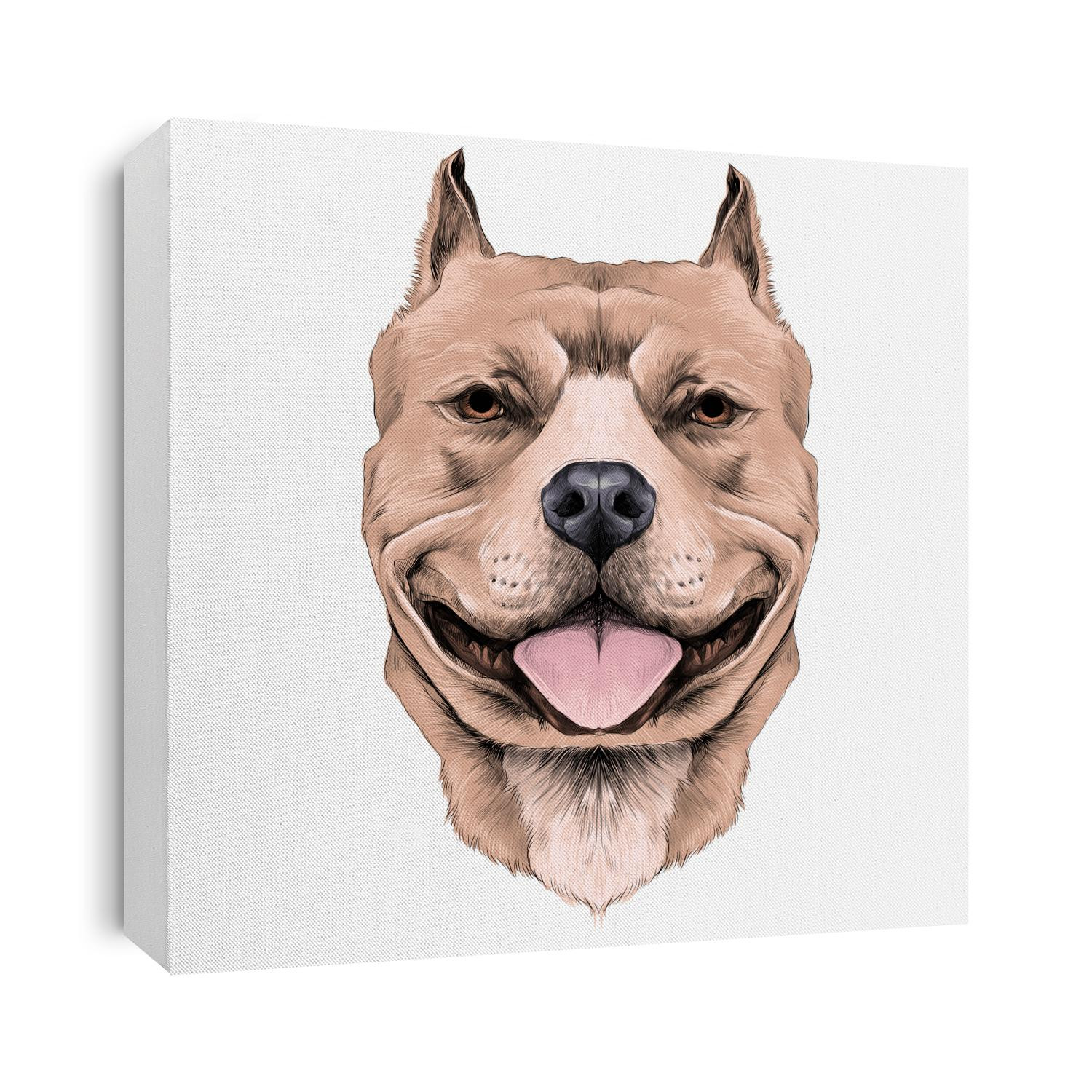 dog breeds the American pit bull Terrier brown color head sketch vector graphics color picture