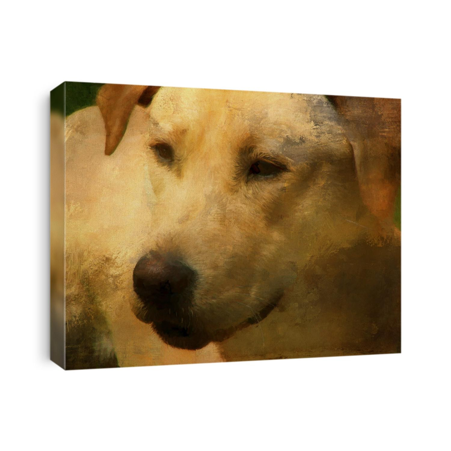 Closeup portrait of a yellow Labrador retriever transformed into a textured painting