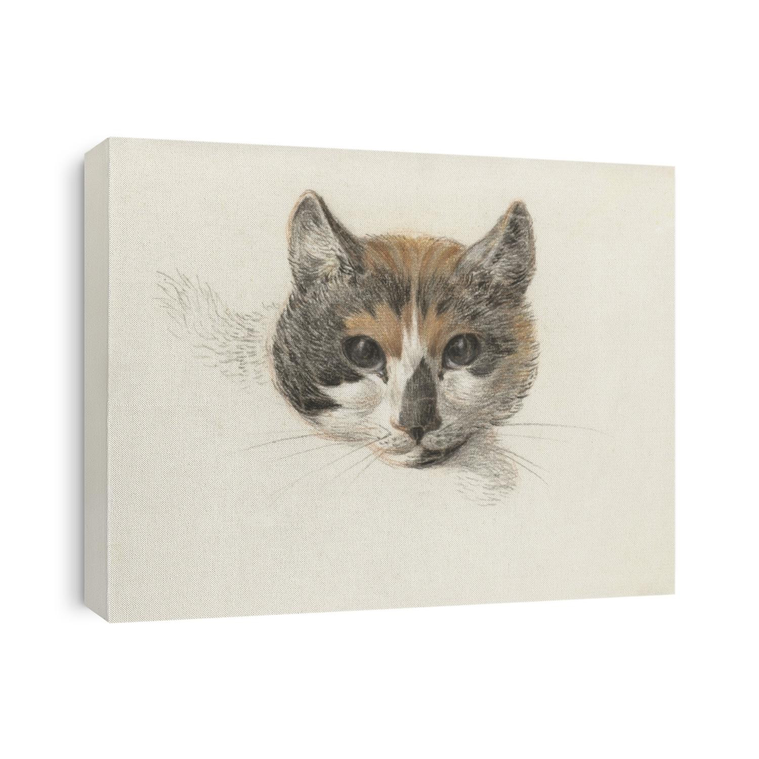 Head of a Calico Cat From the Front, with Open Eyes, by Jean Bernard, Dutch chalk and pencil drawing.